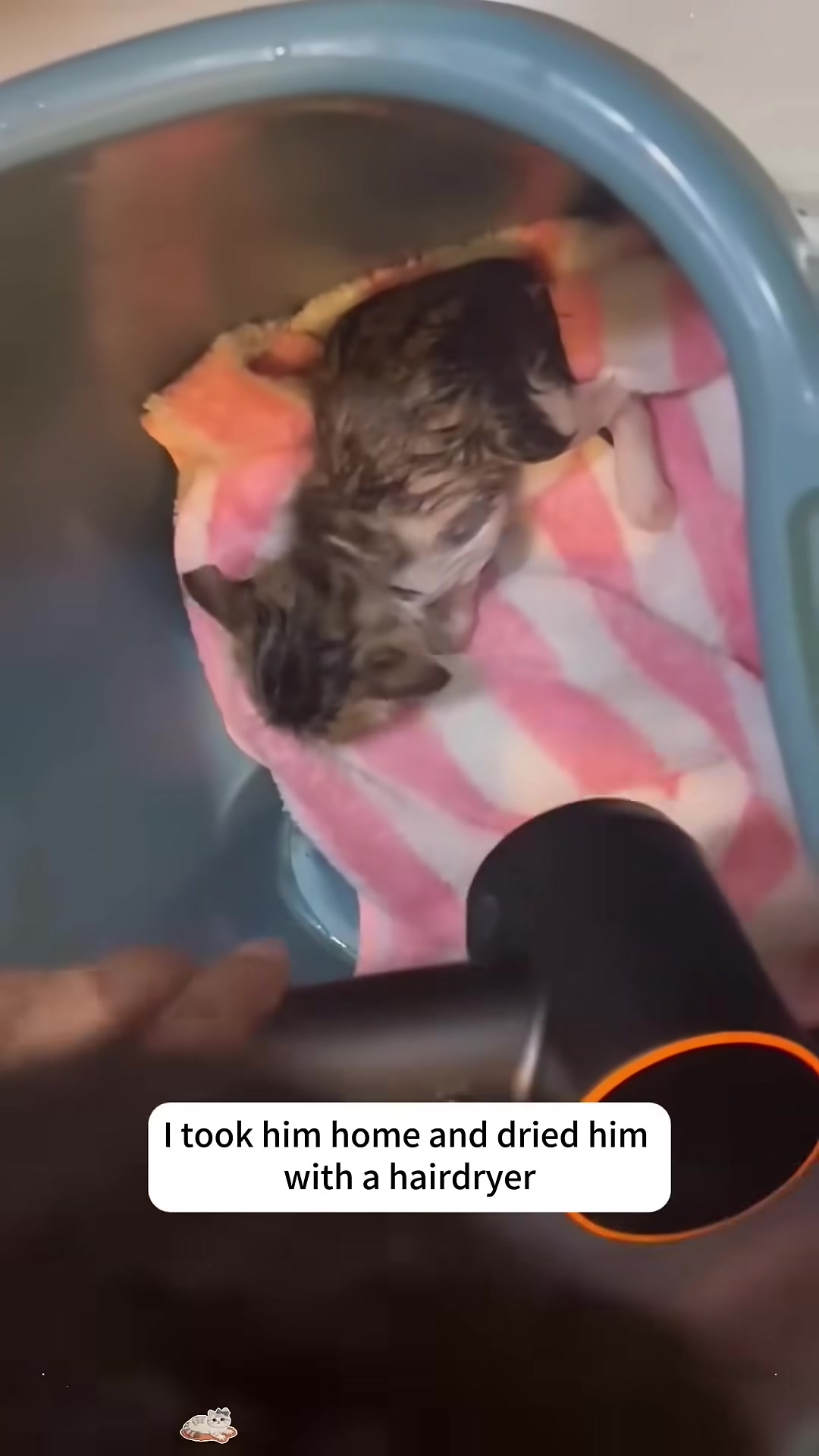 A hand gently drying the kitten with a hairdryer while it's wrapped in a towel inside a blue basin.