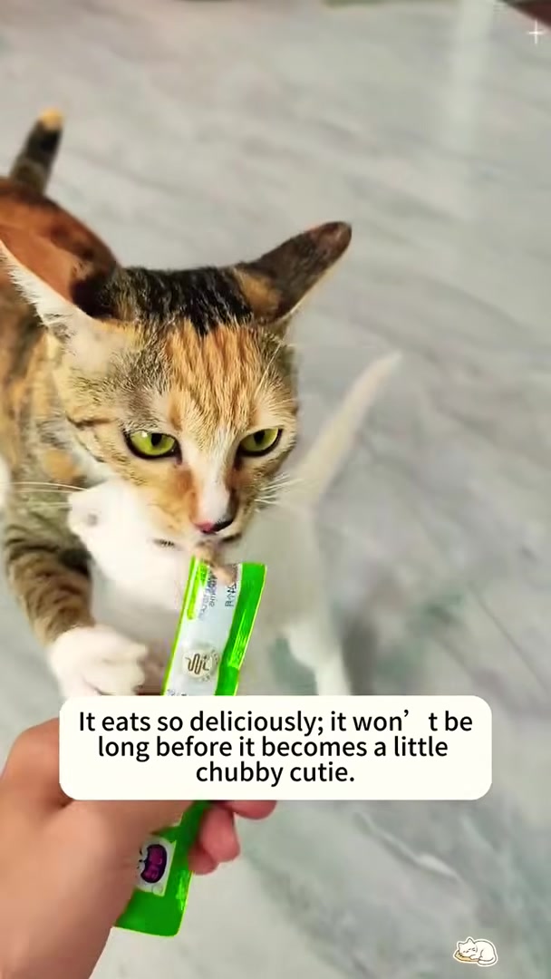A person is feeding a tiny kitten with a bottle.