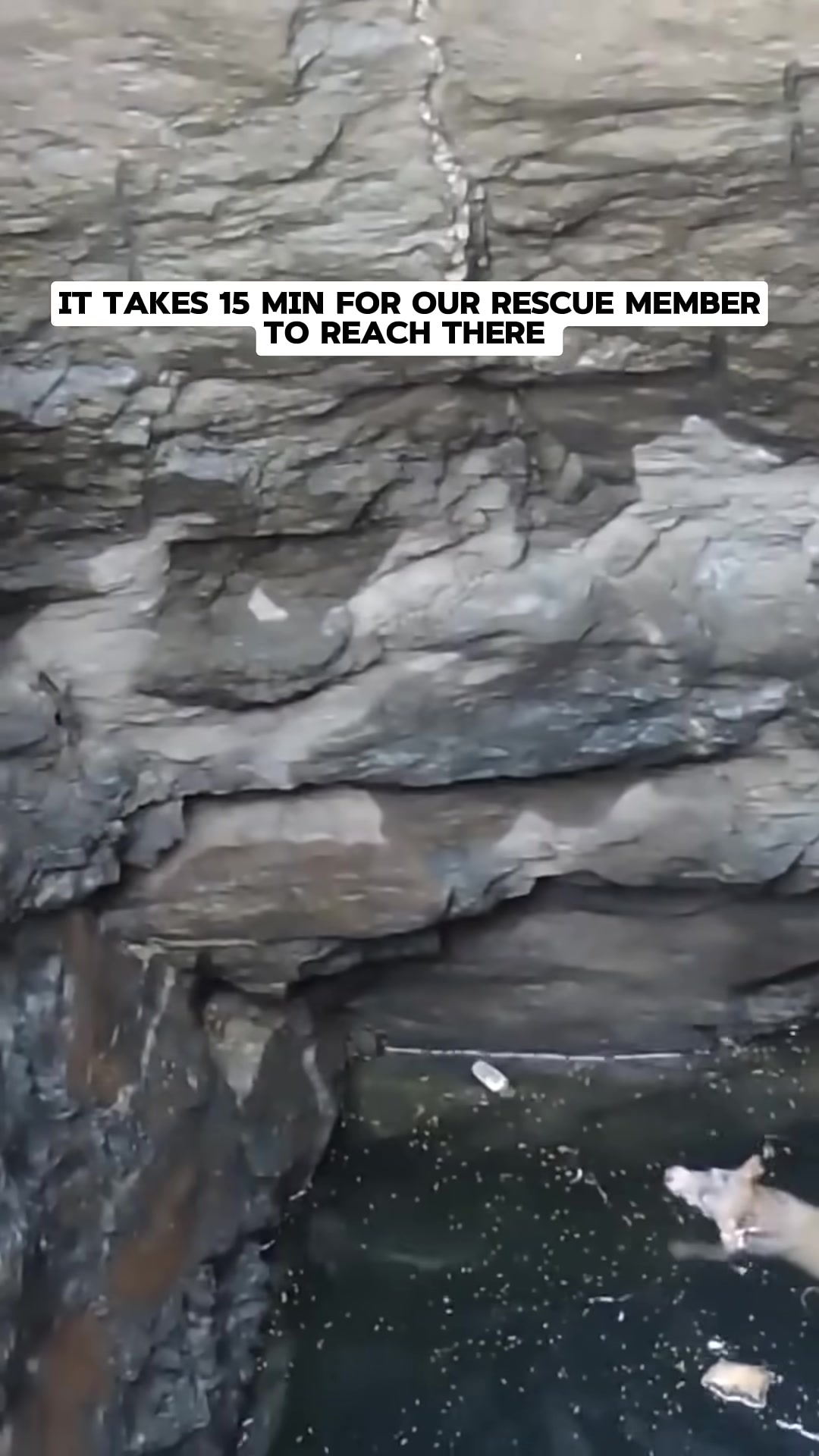 A rescuer rappels down the side of a deep, rocky well, reaching towards the water.