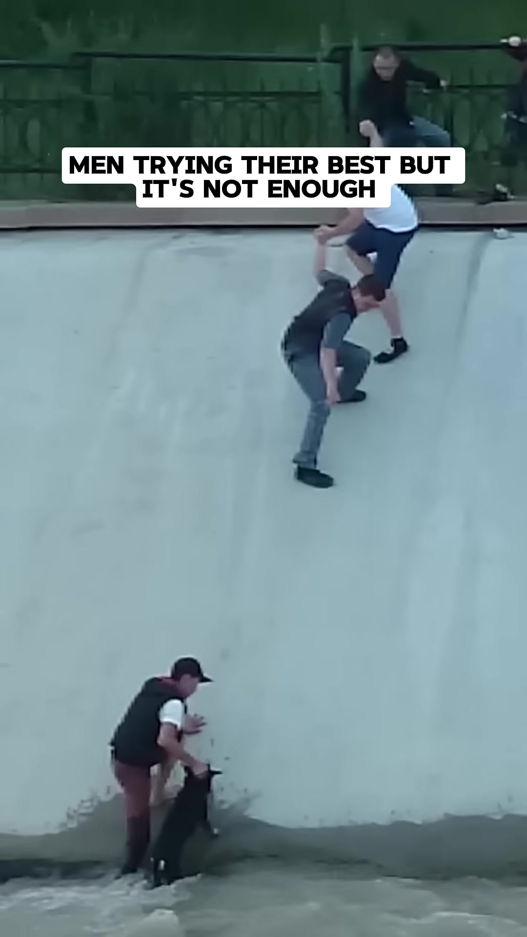 The rescuer falling into the water as he tries to reach the dog.
