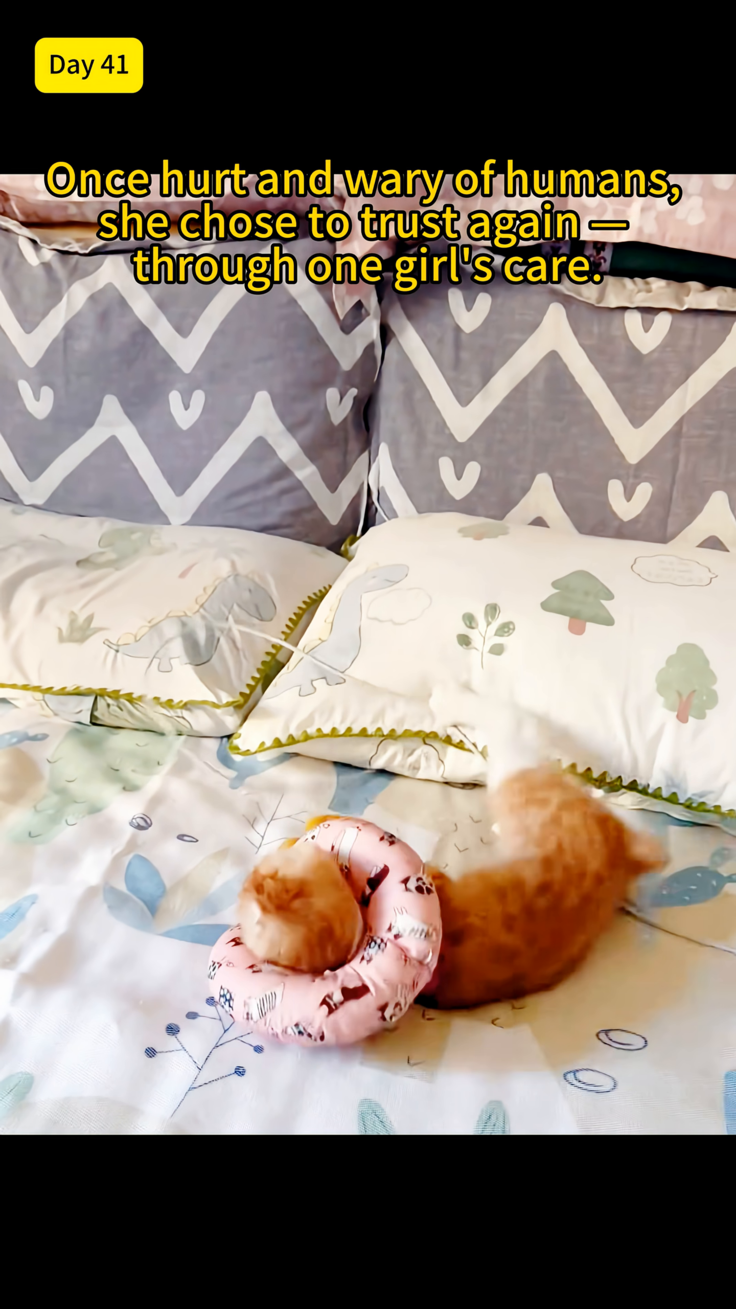 A ginger kitten is playfully rolling on its back on a bed covered with a patterned blanket, looking energetic and happy.
