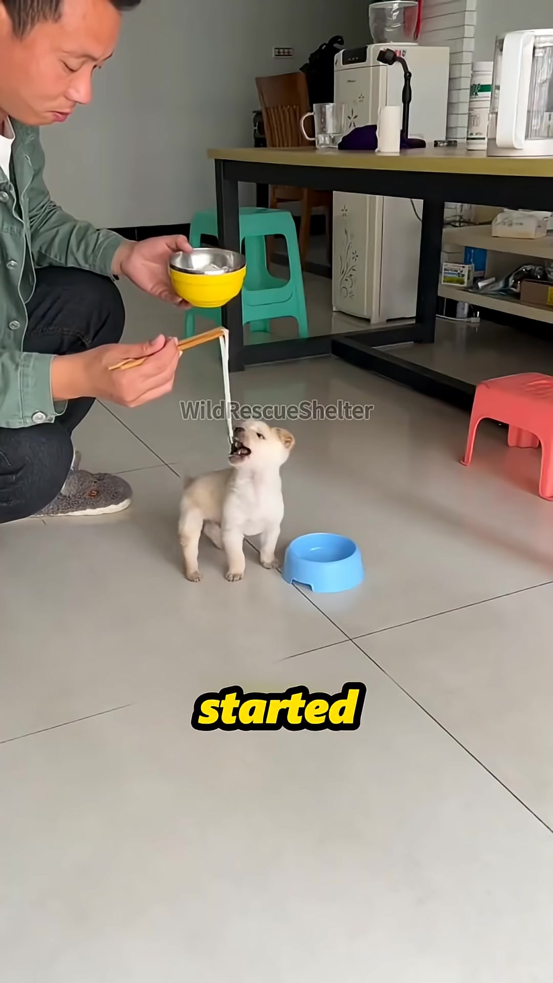 A man feeding a small puppy with a bottle, showing gentle care.