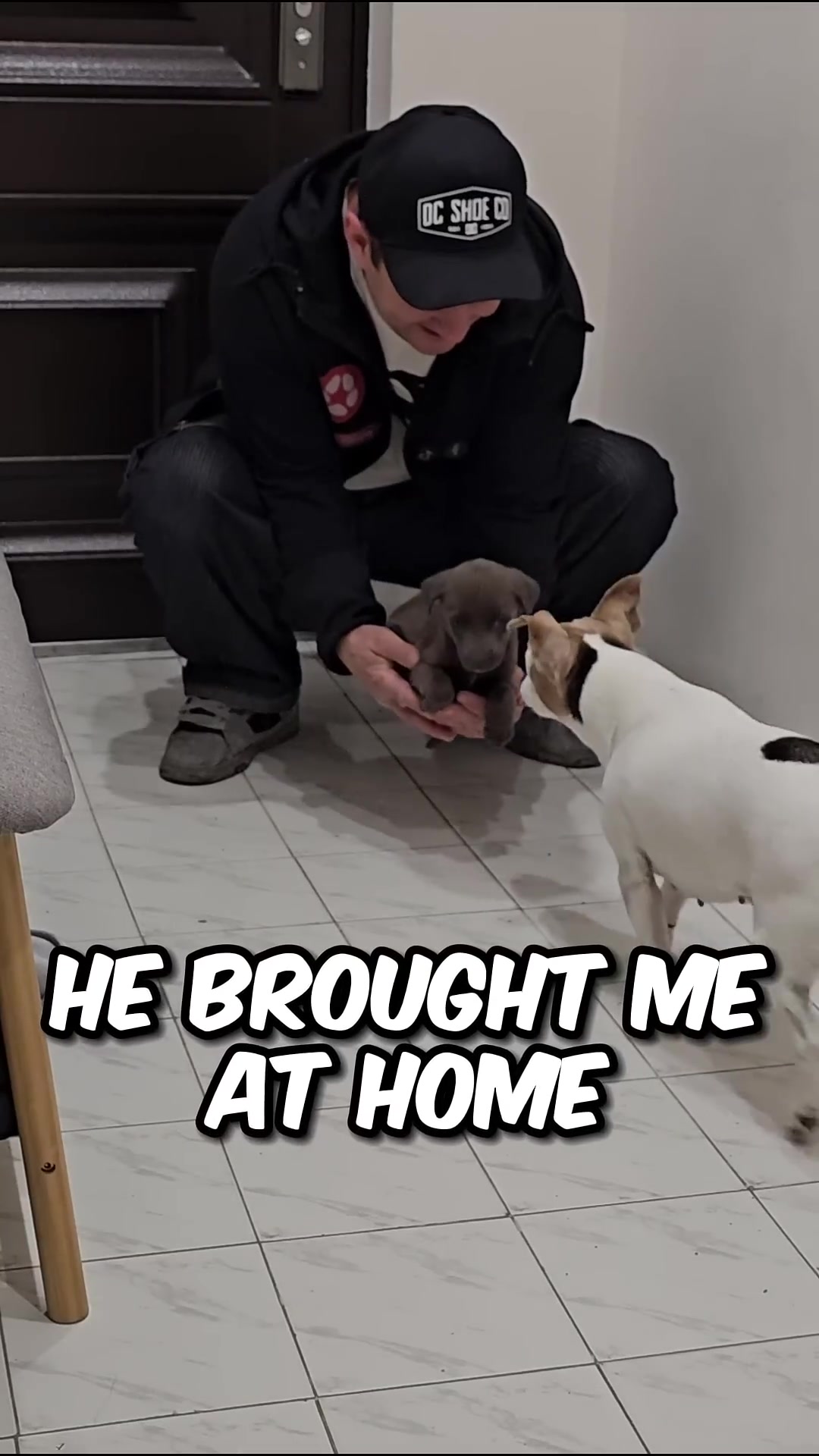 A person kneels, holding a puppy, while another dog looks on curiously.