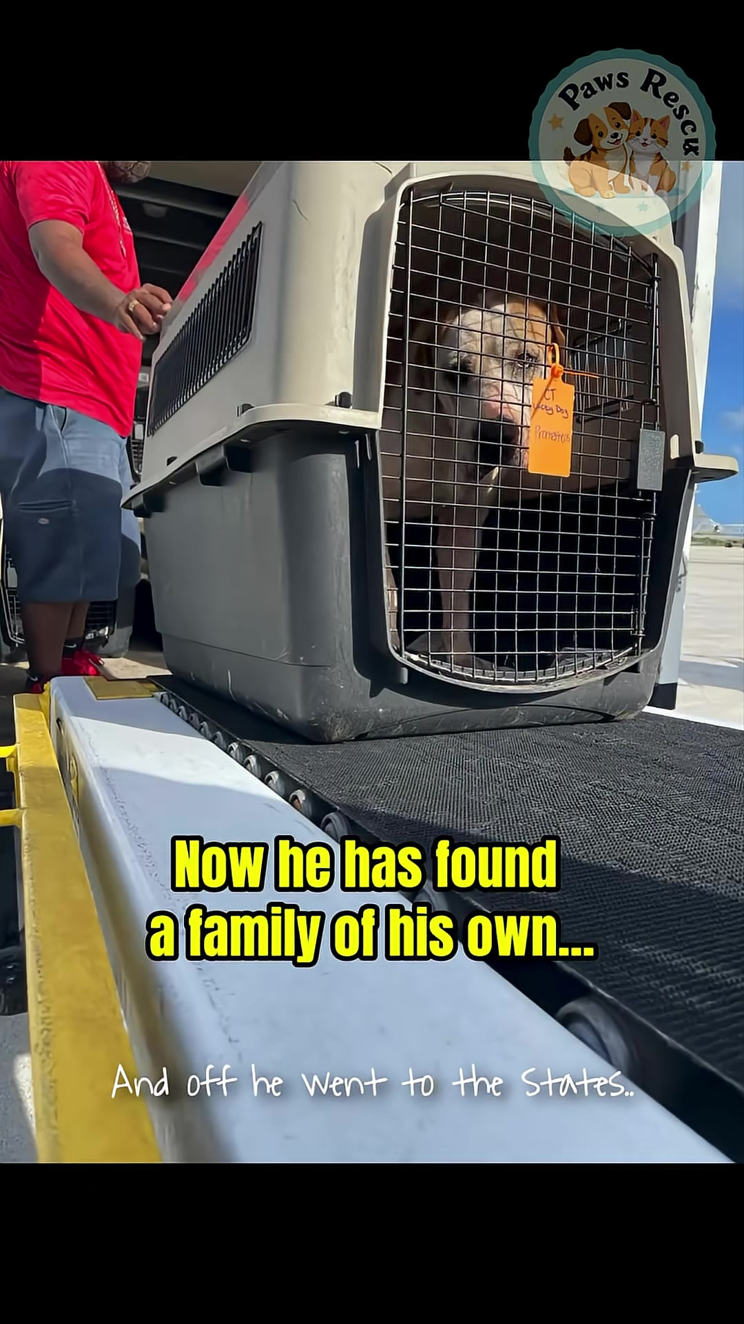 The dog is shown being embraced by a person, signifying he has found a family.