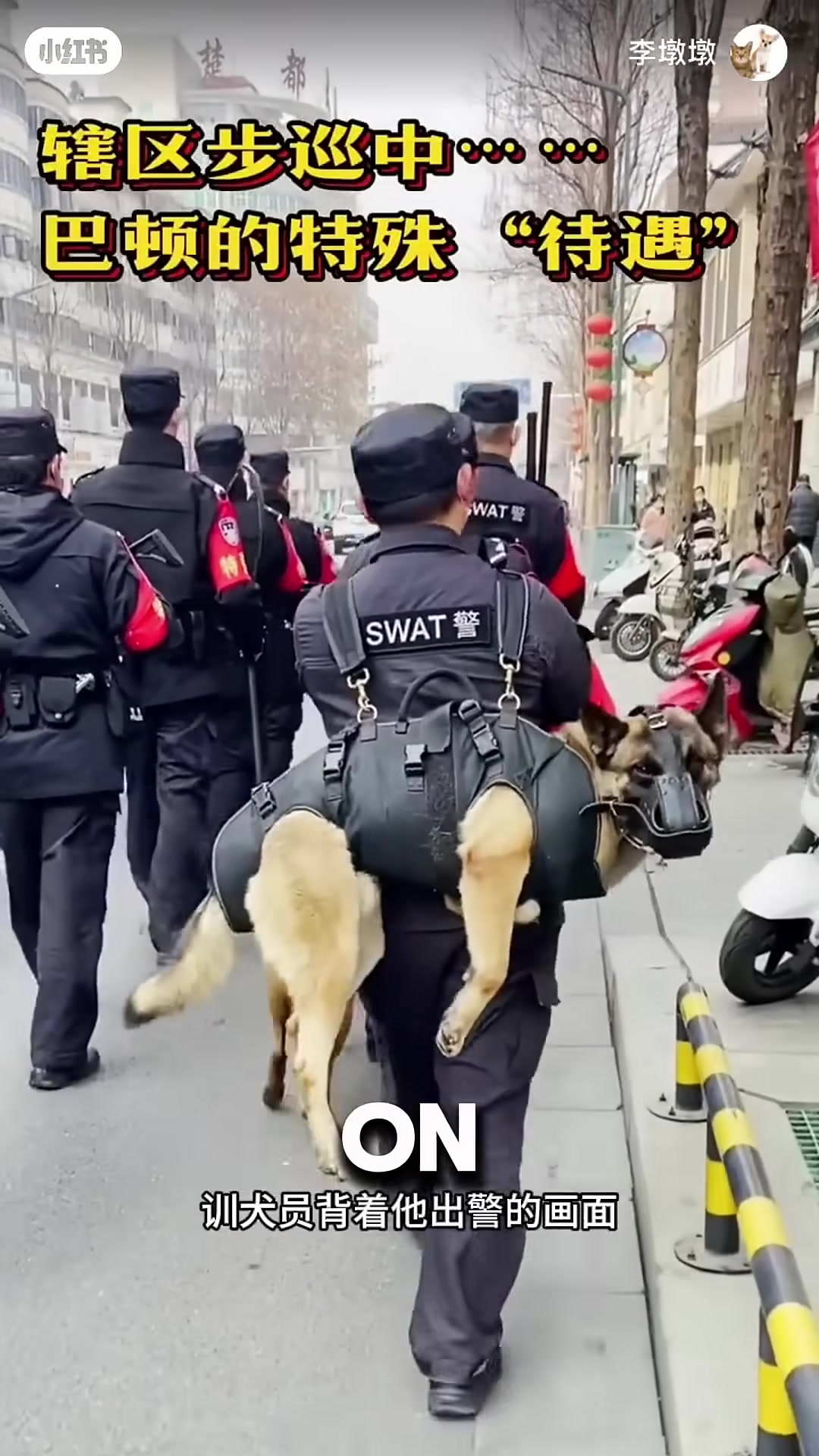 The three-legged police dog in full gear, standing proudly beside a uniformed officer.
