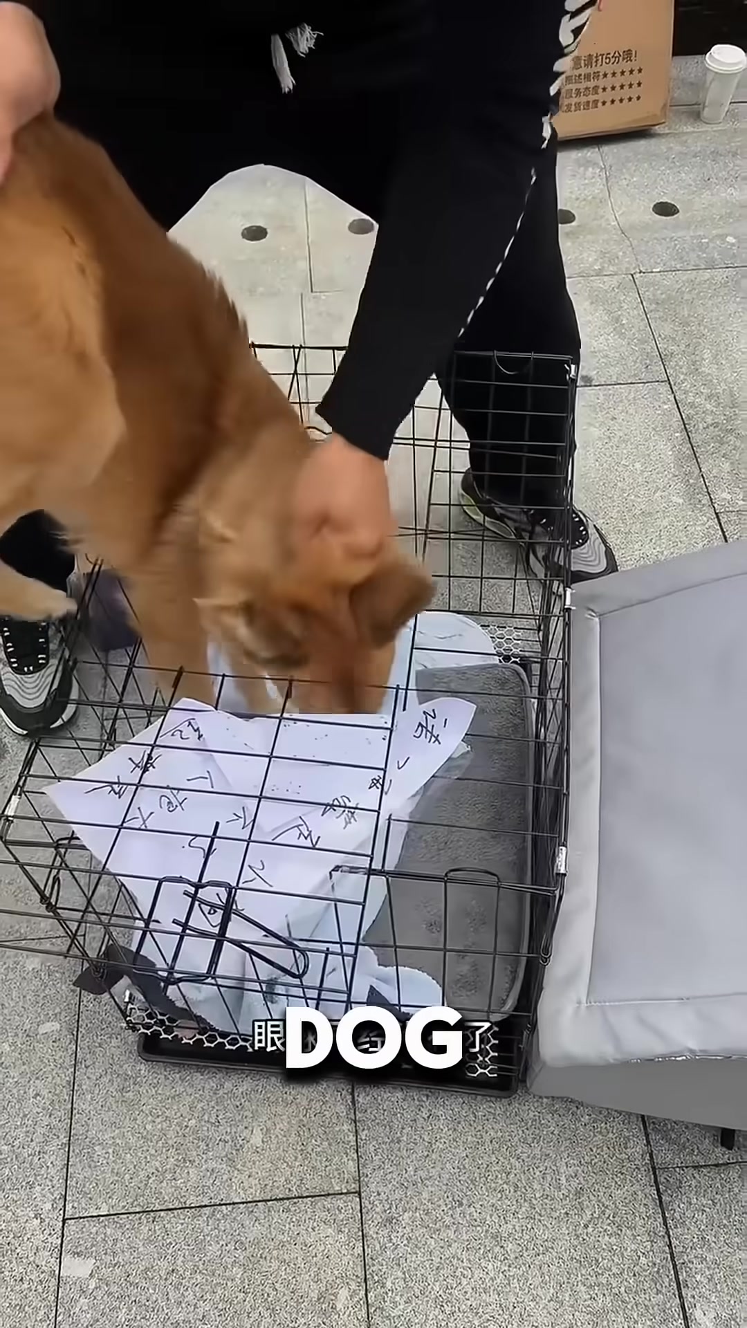 The rescue team discovering the dog-mom's blind eye, a sign of her harsh past.