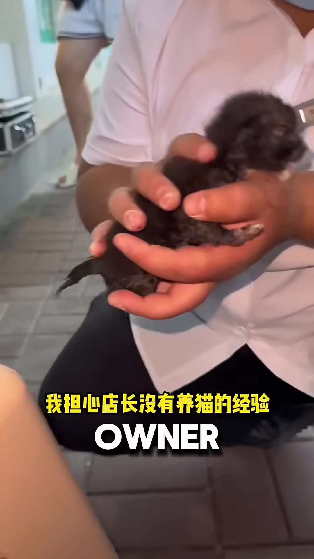 The bun shop owner holding the tiny rescued kitten, smiling with love.