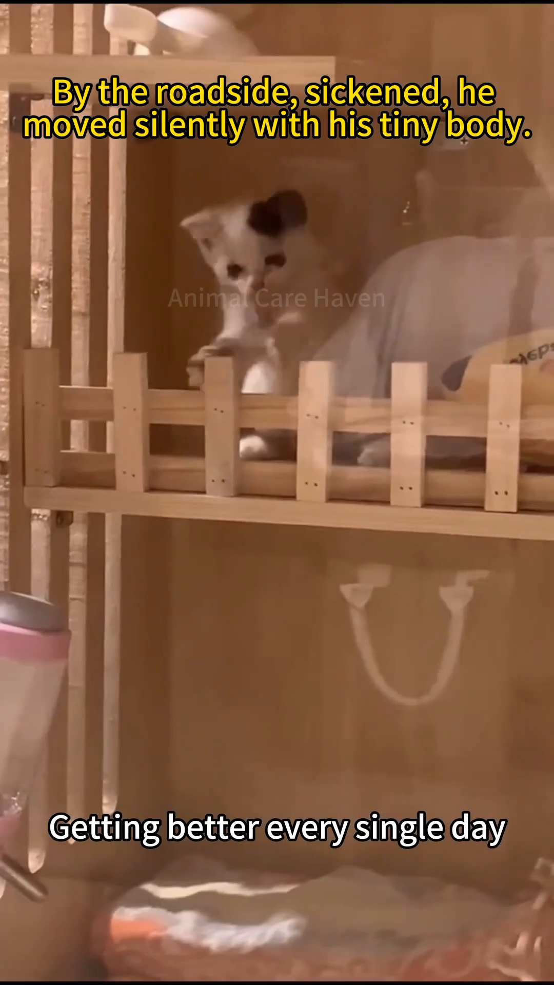 A white and black kitten is eating wet food from a pink, patterned bowl.
