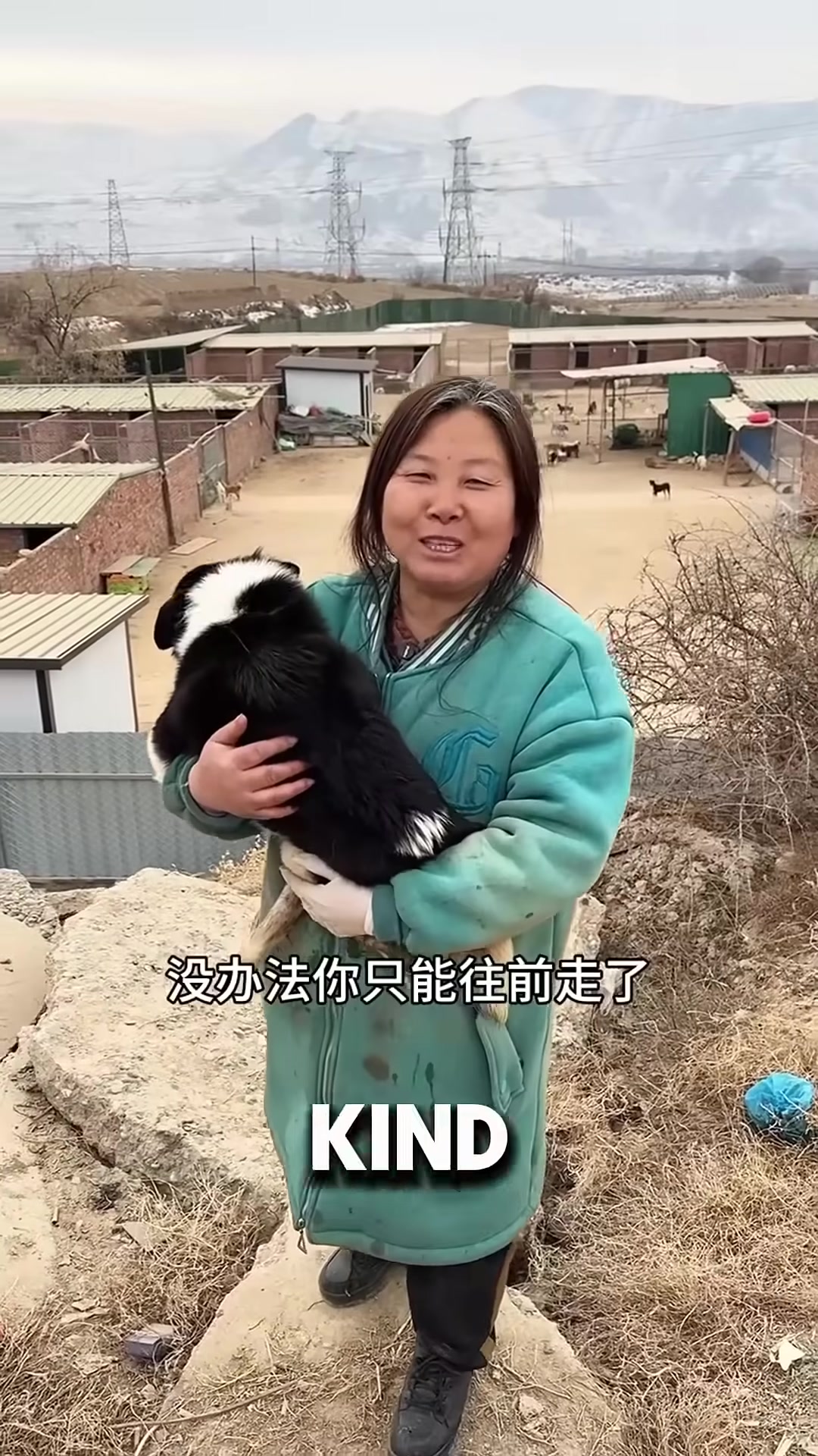 The visitor hands bags of dog food to the smiling rescuer, surrounded by grateful animals.