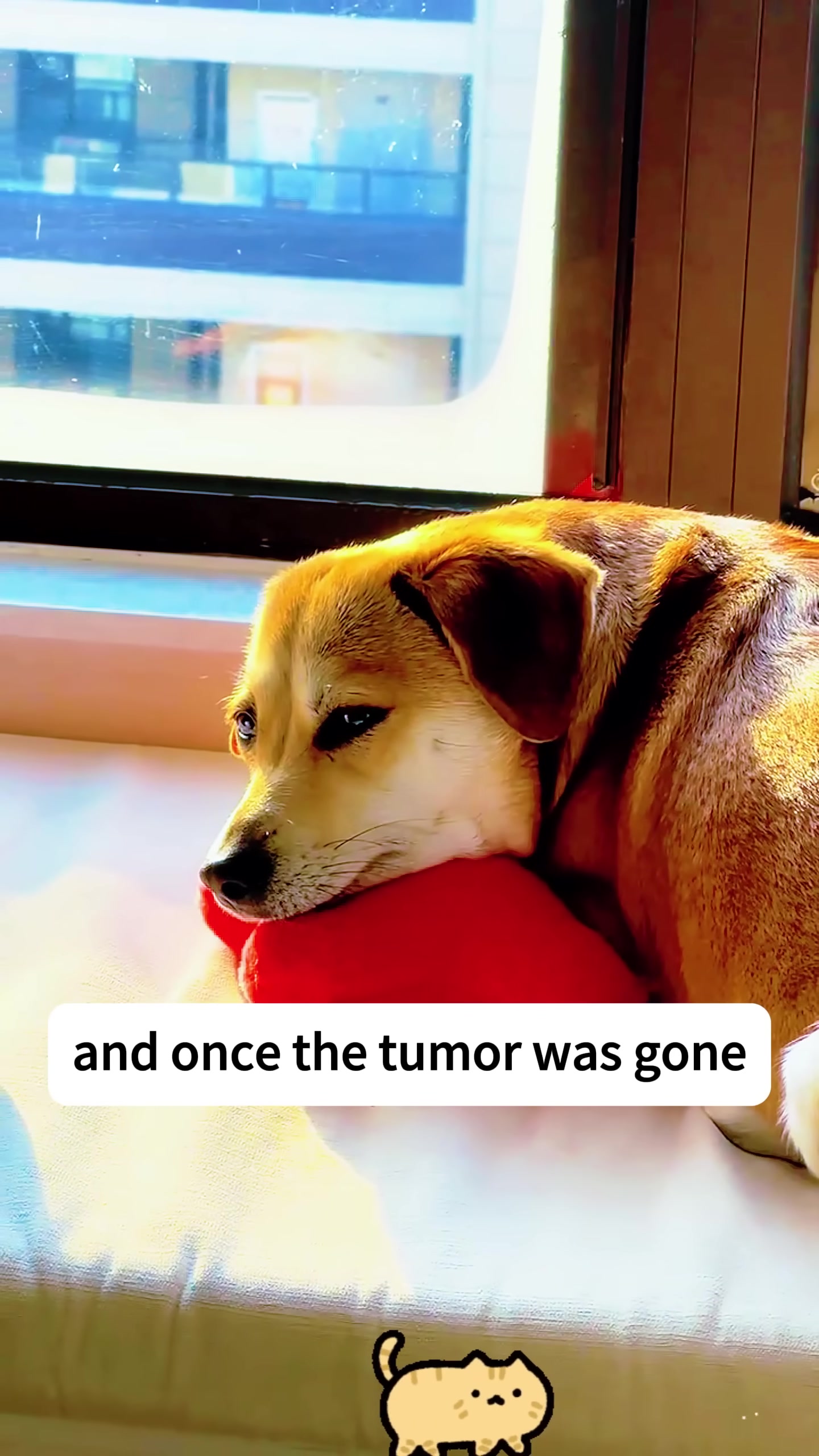 A tan dog lies on a soft surface, resting its head on a red pillow, looking peaceful.