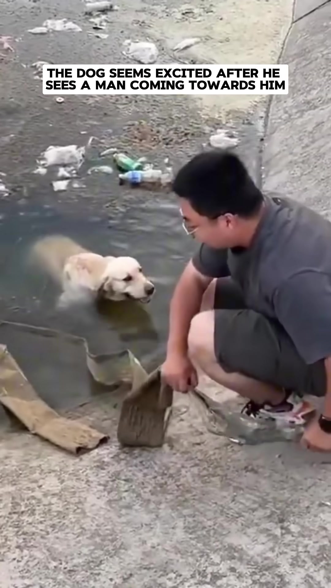 A man holding a dog with one arm while securing a rope with the other.