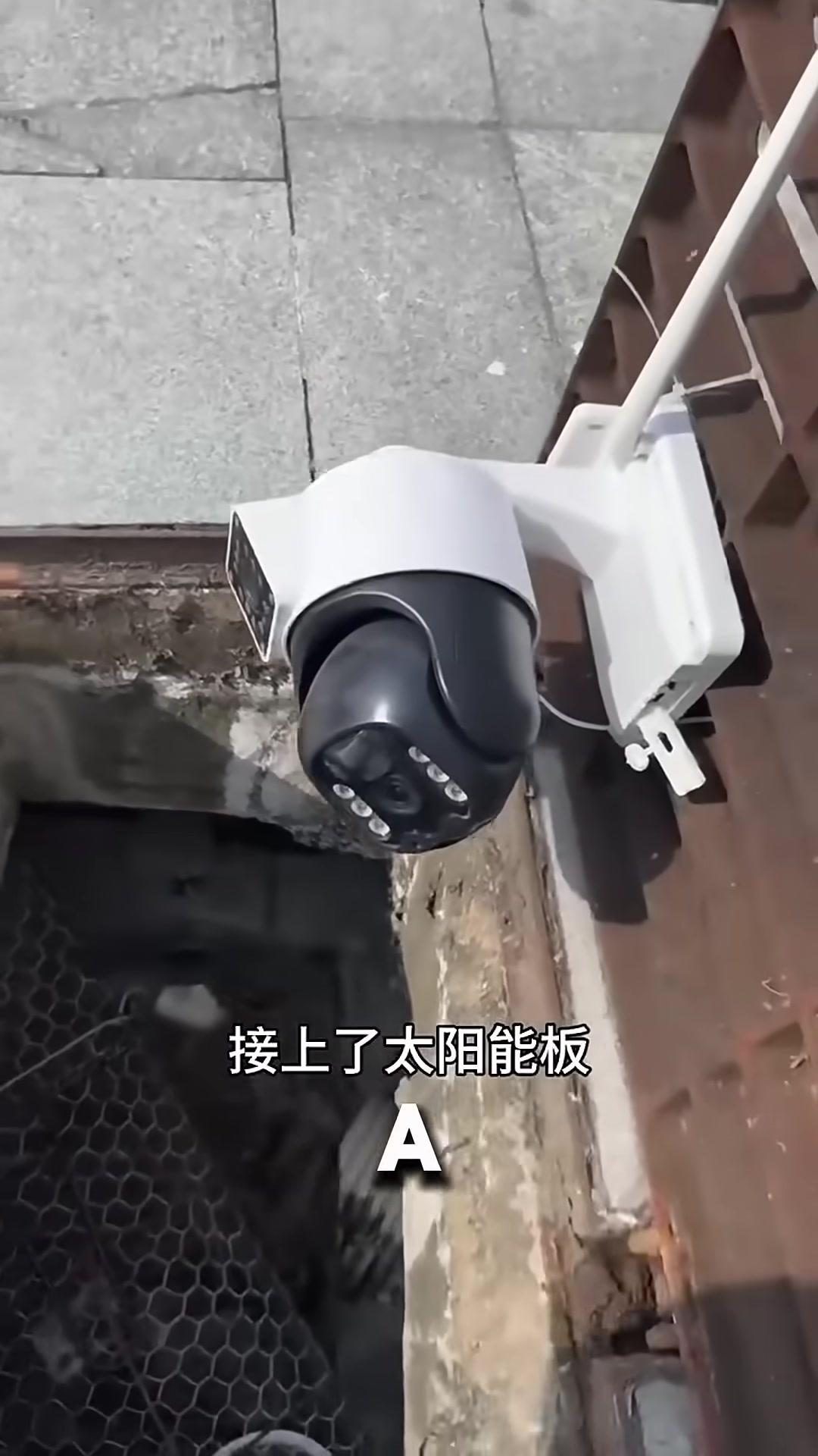 A humane trap set near a sewer opening, with a monitoring camera nearby.