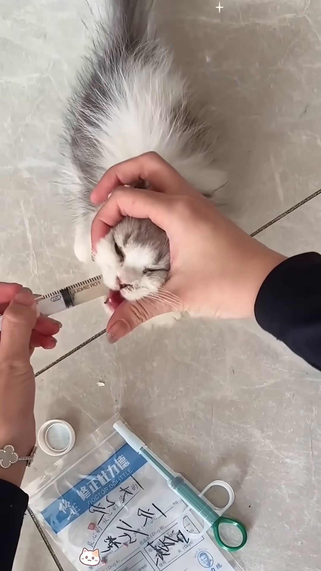 A person is carefully giving medicine to a small kitten using a syringe.