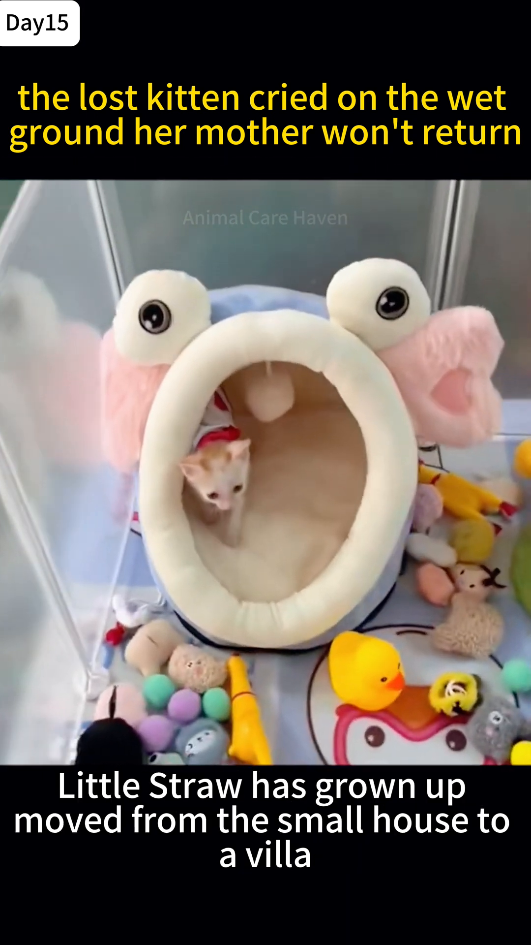 A kitten is nestled in a plush, cartoon-shaped bed inside a playpen filled with toys.