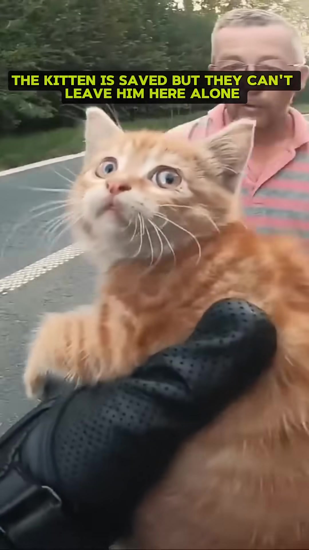 The biker gently holds the scared kitten, cradling it in his gloved hands.