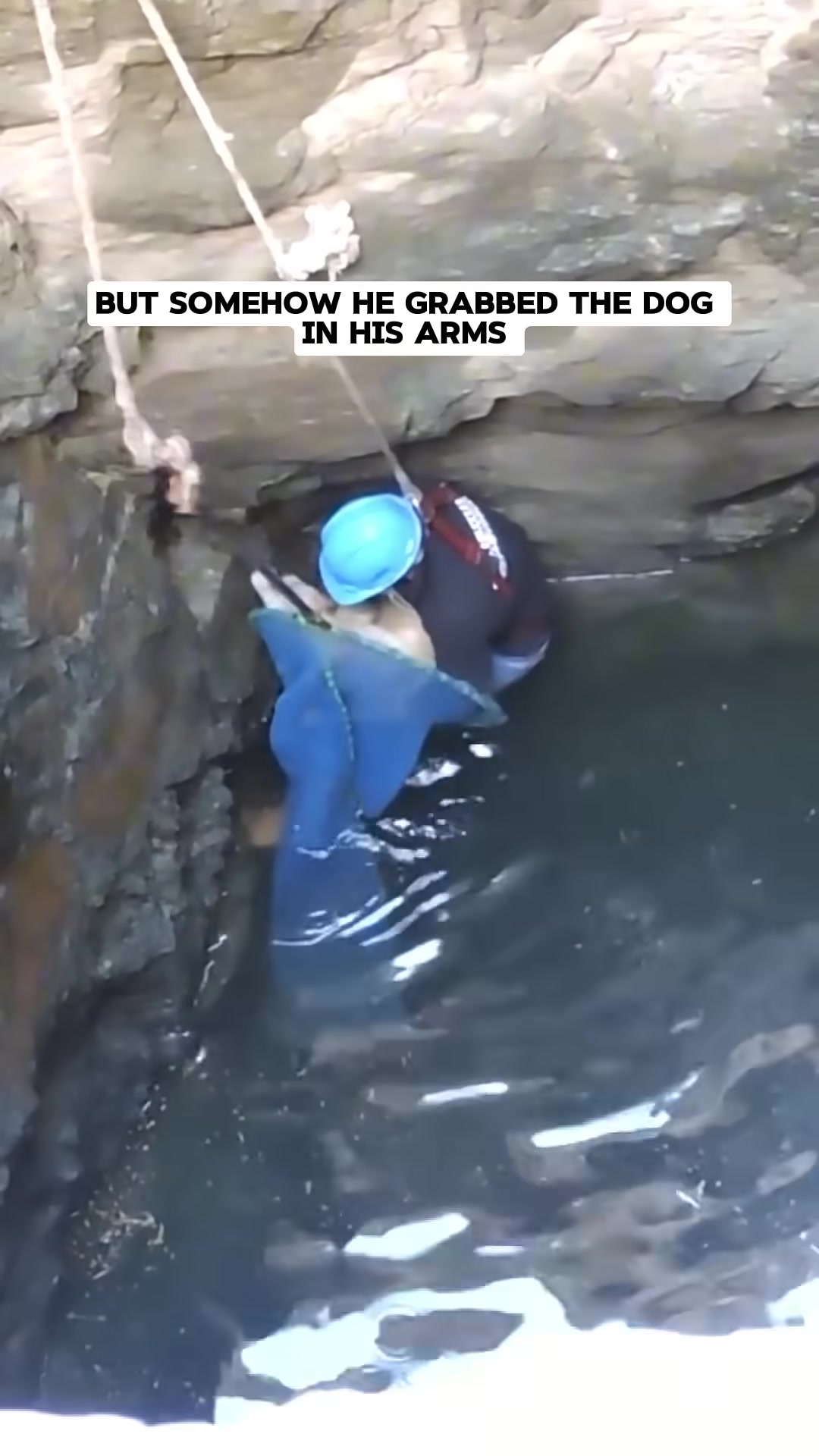 A rescuer holds the dog securely in their arms within the well, preparing to ascend.