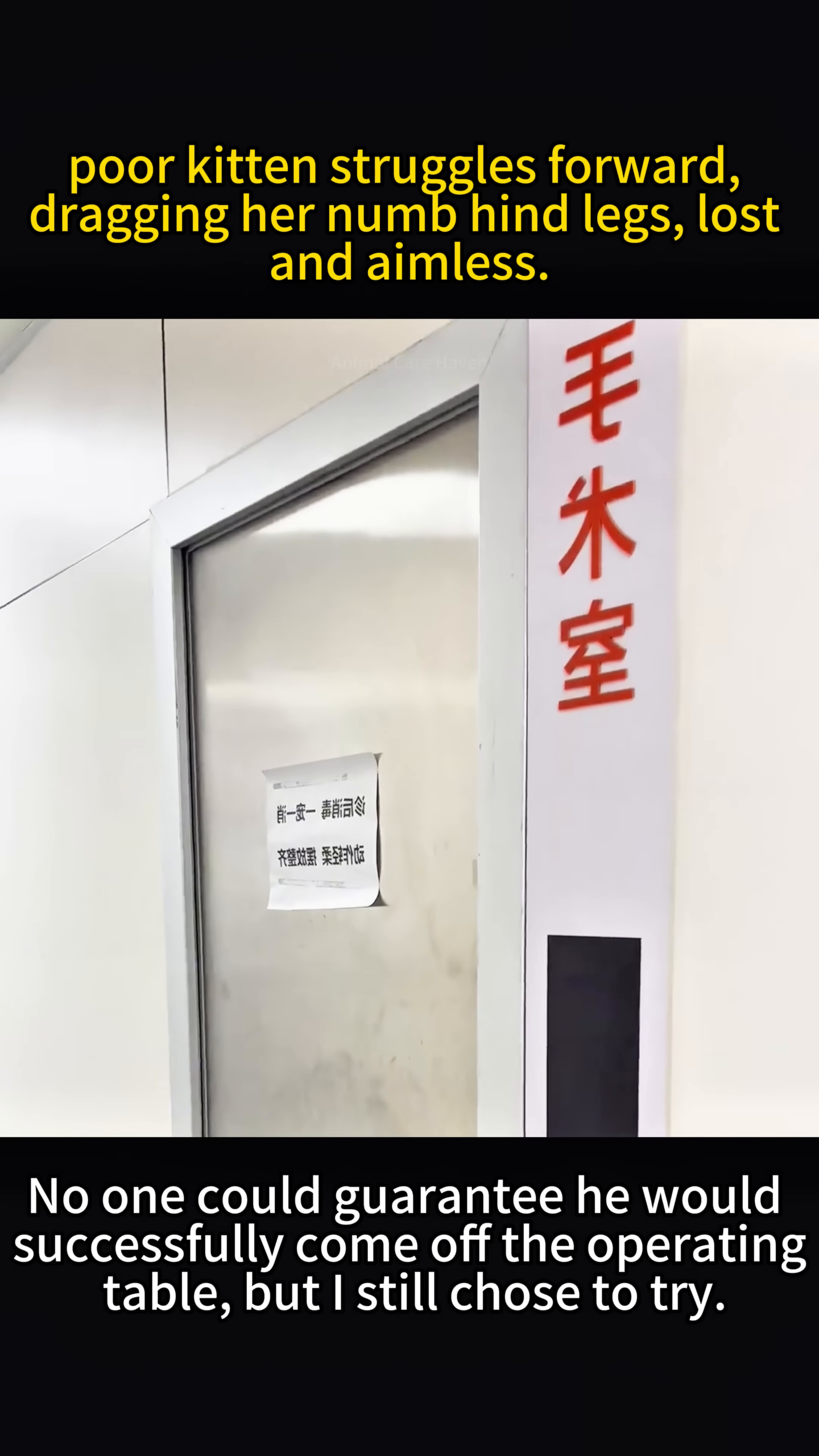 A shot of the operating room door, symbolizing the critical surgery taking place inside.