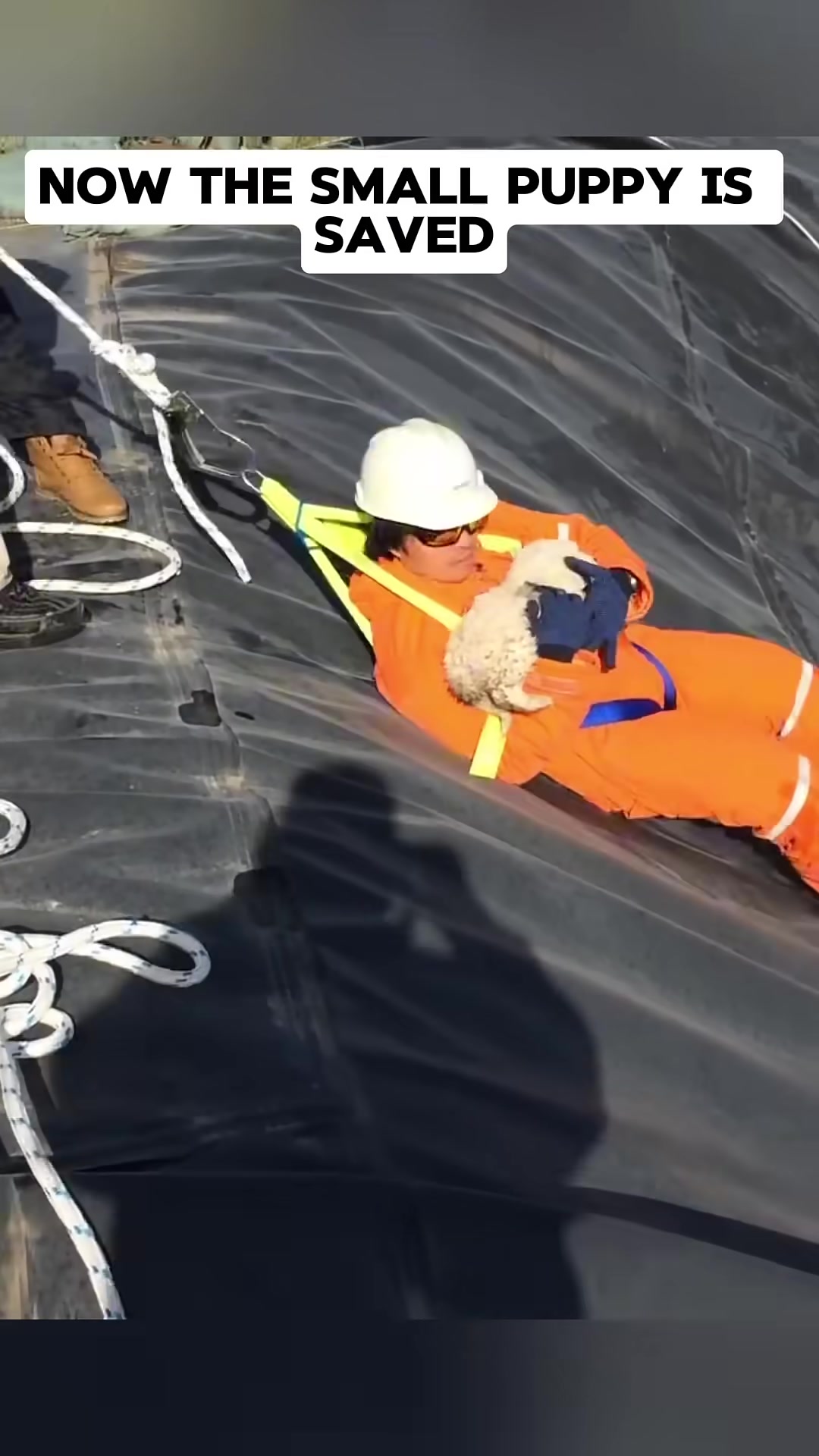 A rescuer in an orange suit is holding a small white puppy, looking at it with care.