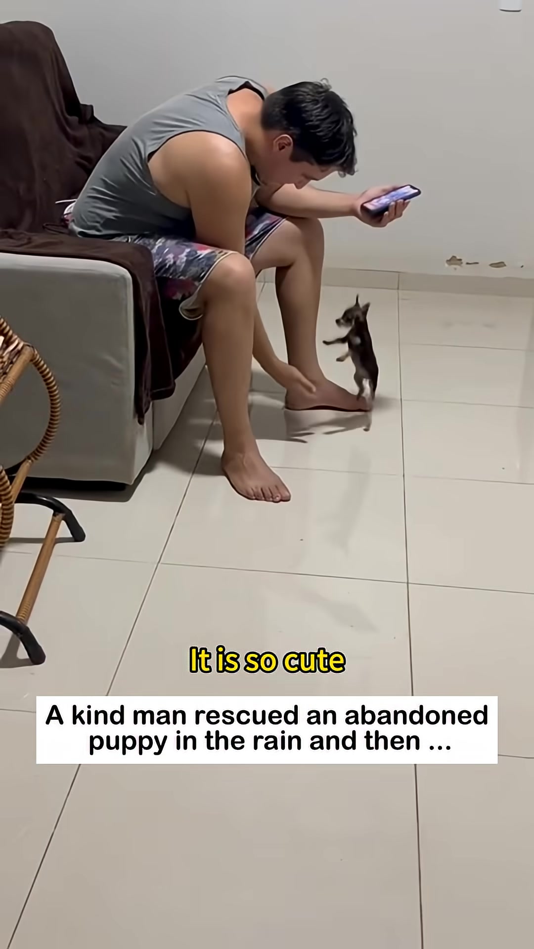 A puppy playfully jumps towards a man sitting on a couch.