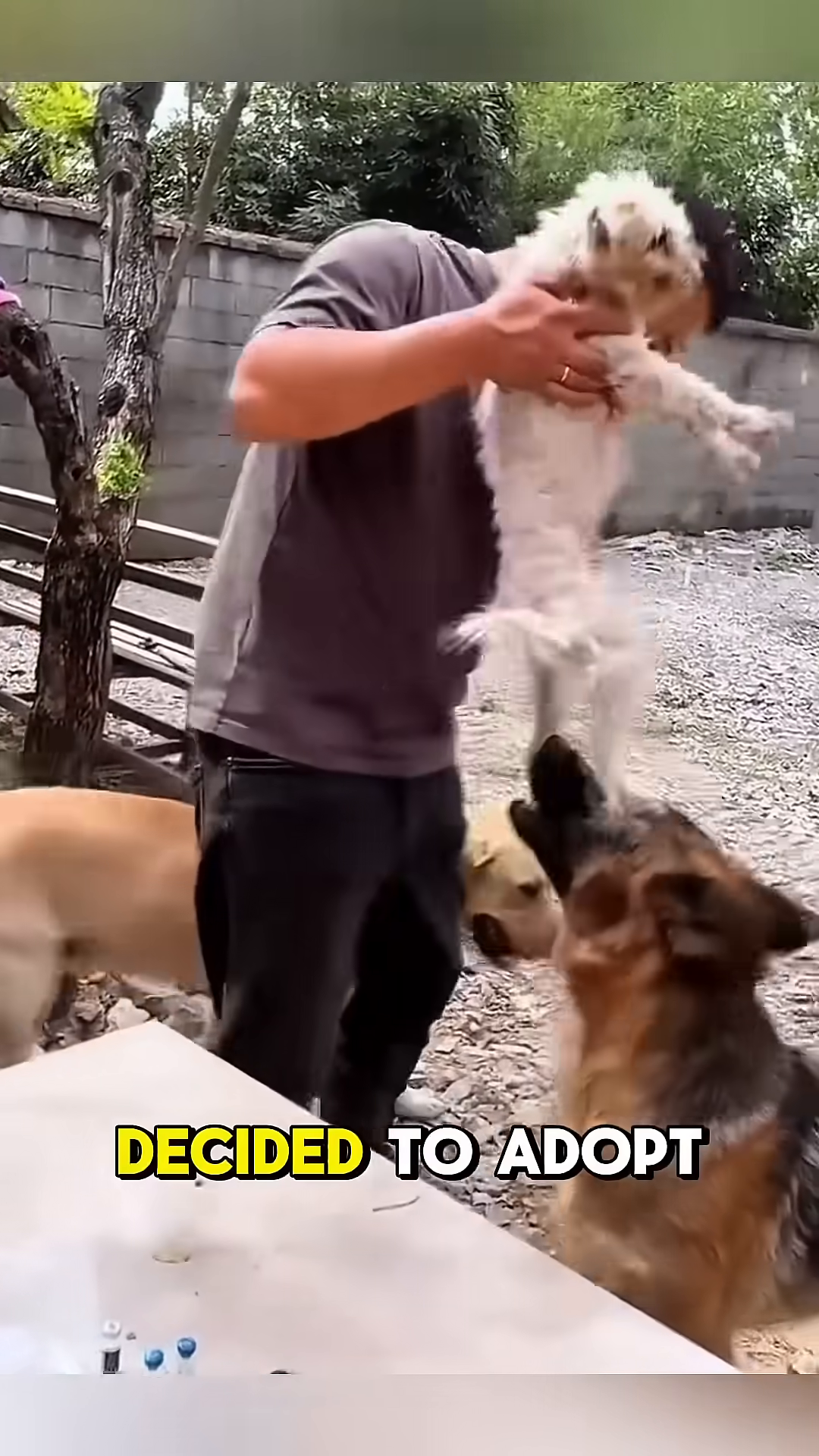 A man is seen holding the white puppy, surrounded by other dogs, signifying the beginning of his new life.