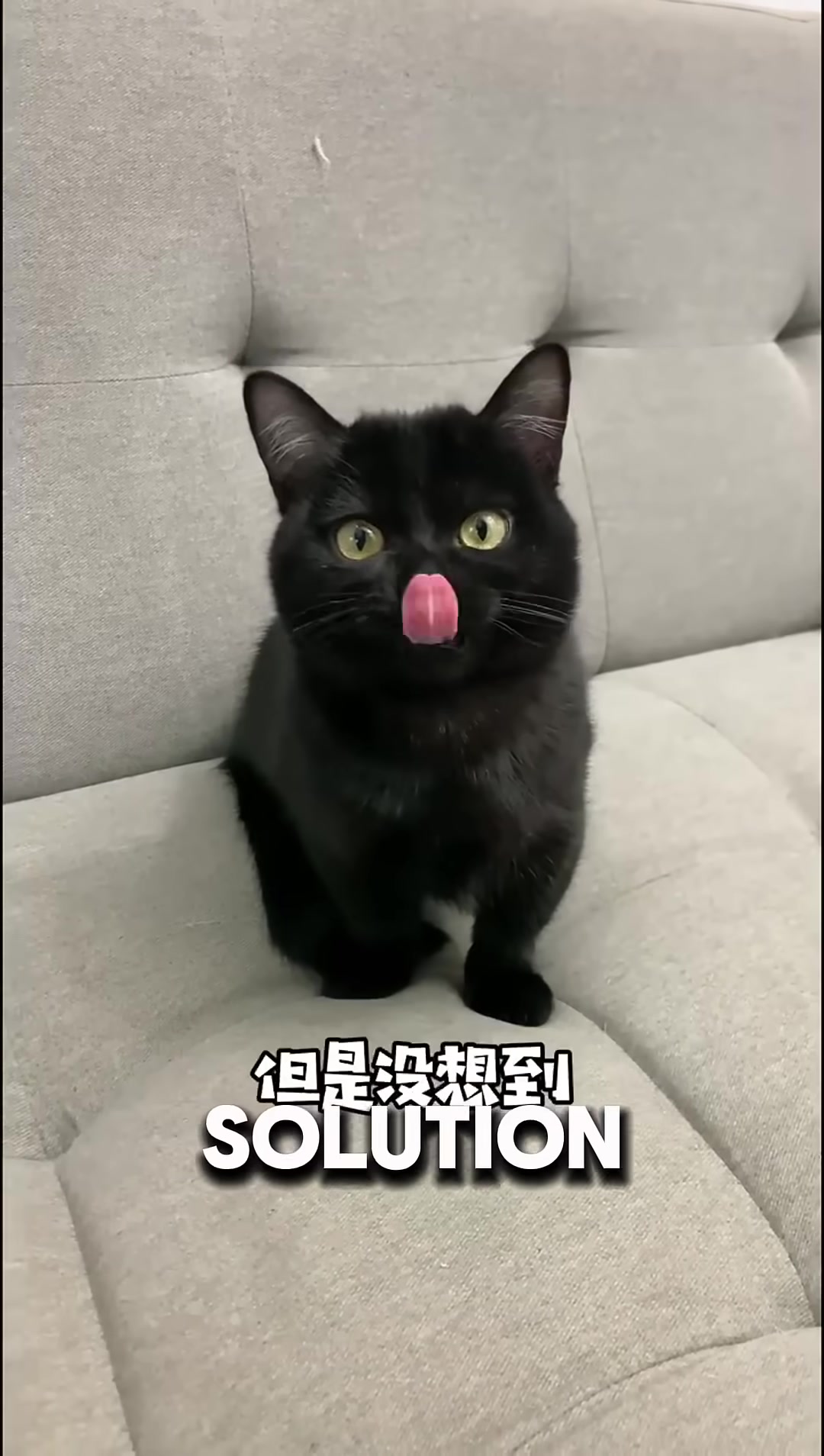 A black cat almost invisible in a dark room.