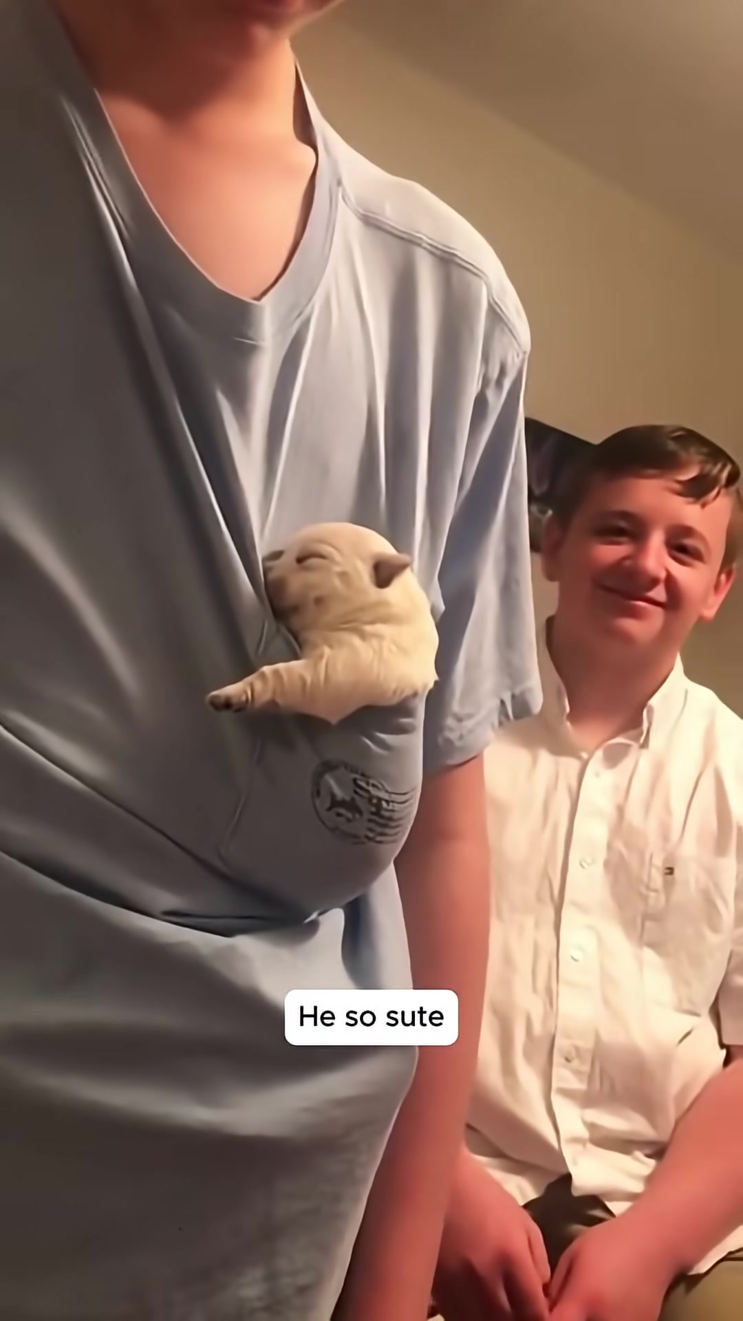 The tiny puppy sleeps soundly in a person's shirt pocket.