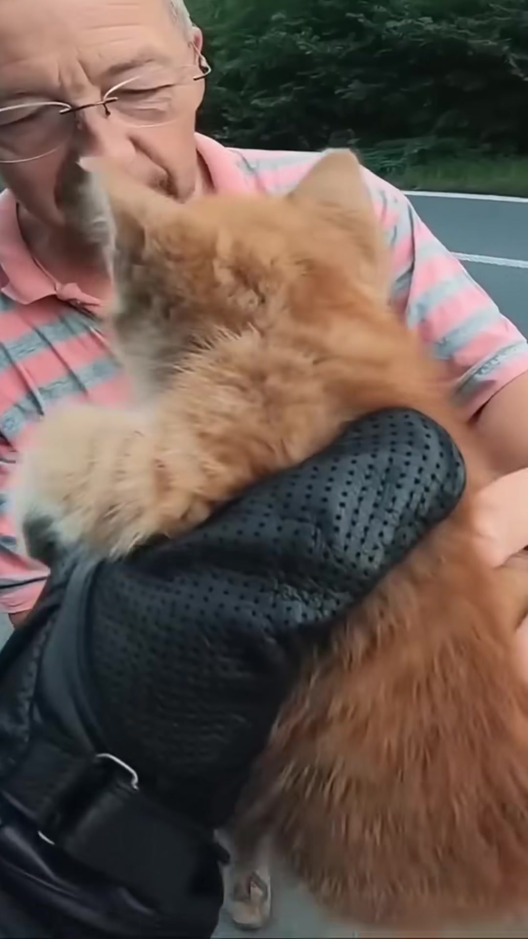 The biker holds the kitten close, looking at it with affection despite his allergy.