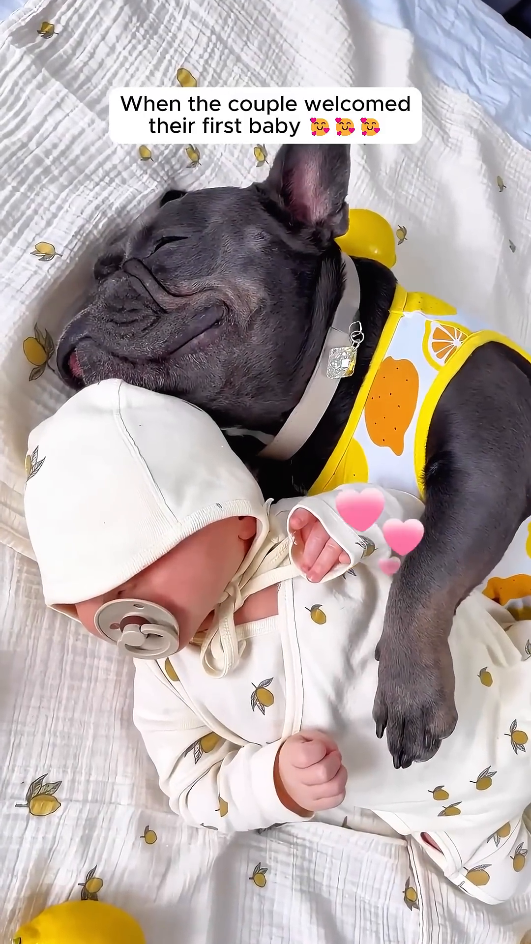 A dog is sleeping protectively next to a newborn baby.