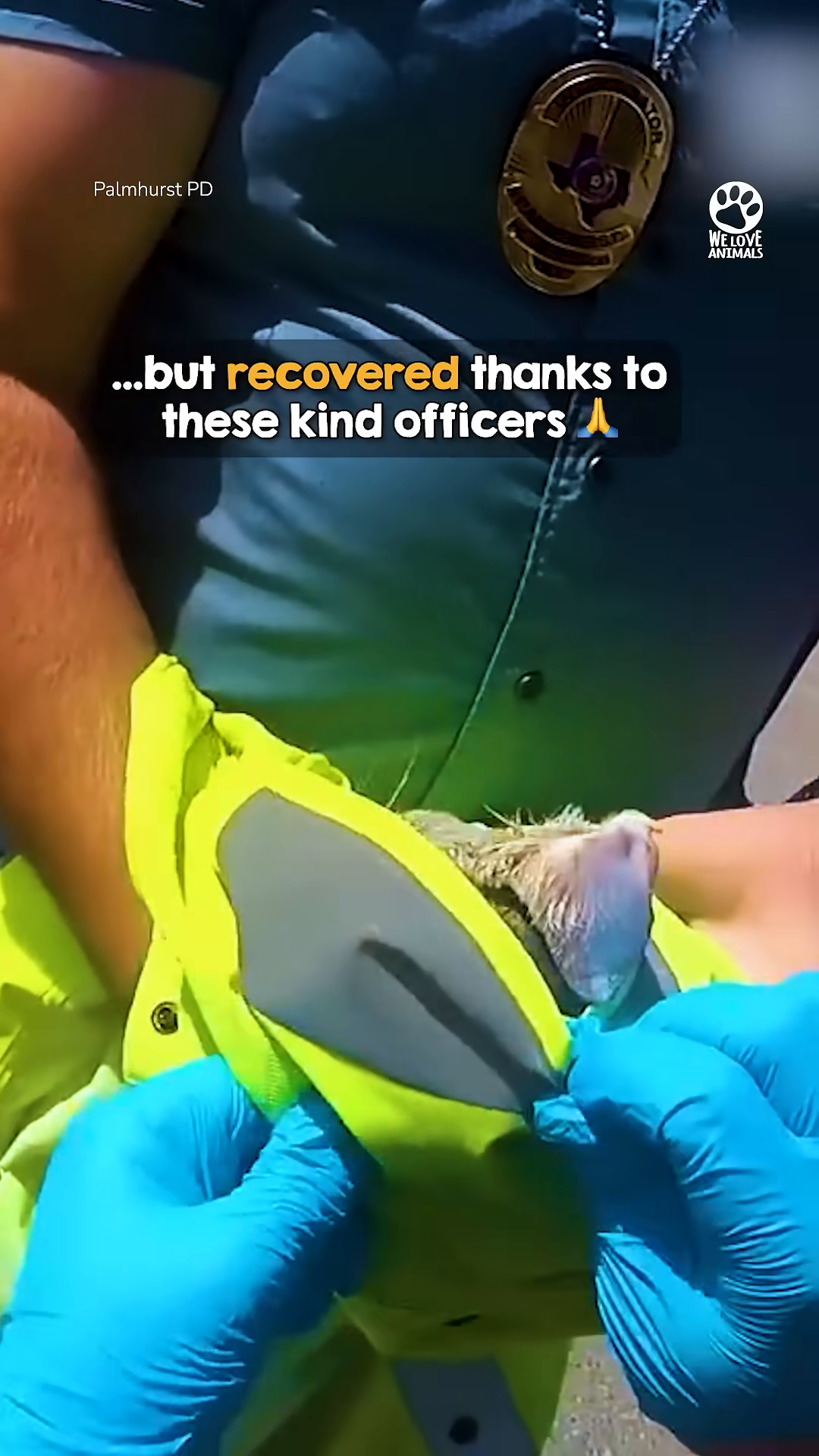 The rescued kitten, now free from the jar, is held gently by an officer.