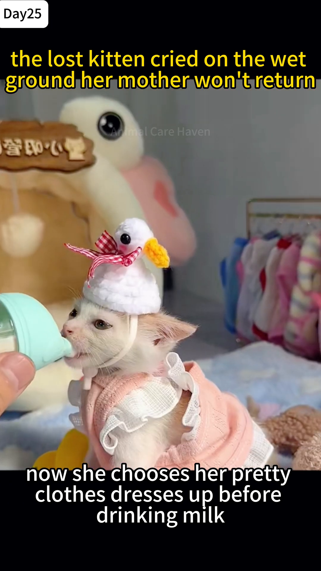 A kitten wearing a pink dress and a white duck-shaped hat drinks milk from a bottle, looking clean and well-groomed.