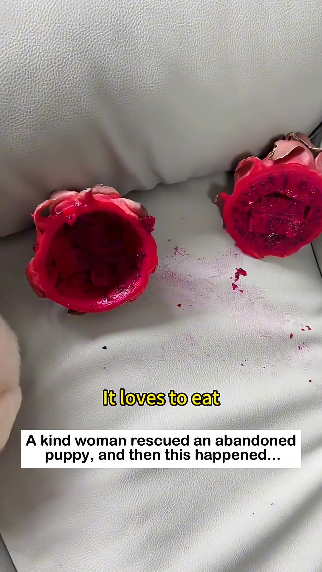 A puppy with its face and bib covered in pink berry juice, looking directly at the camera.