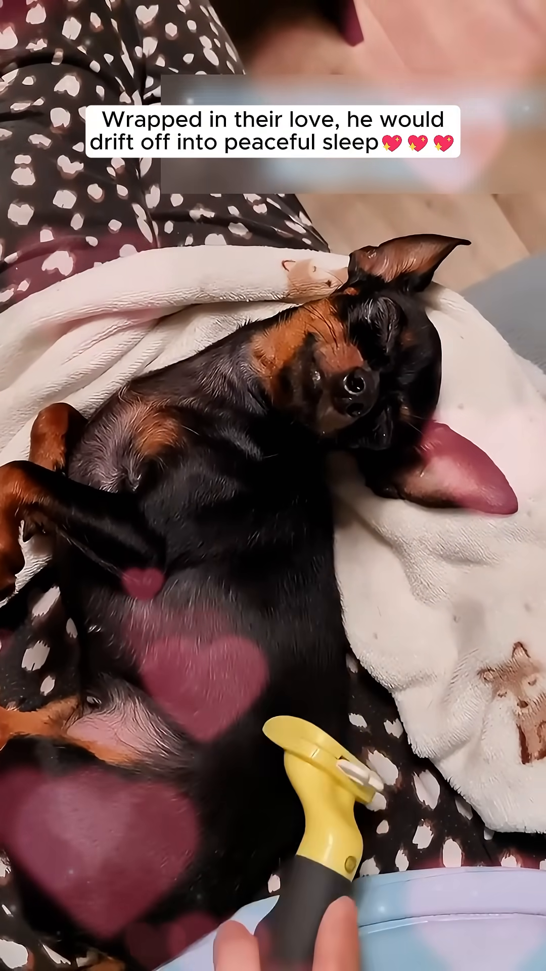 A tiny black puppy dressed as a reindeer with a red nose sits on a rug.