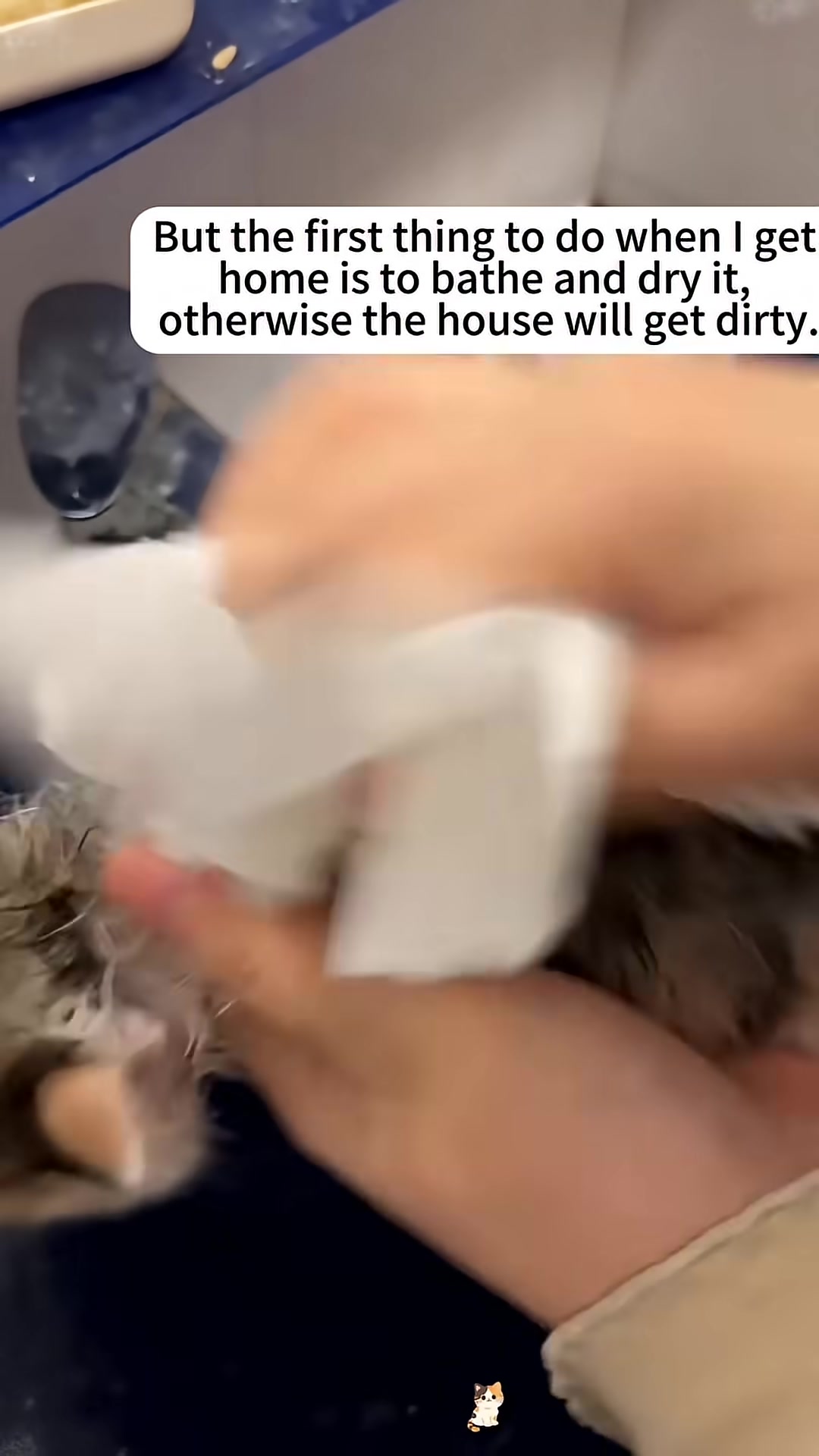 The kitten happily drinks milk from a bowl.