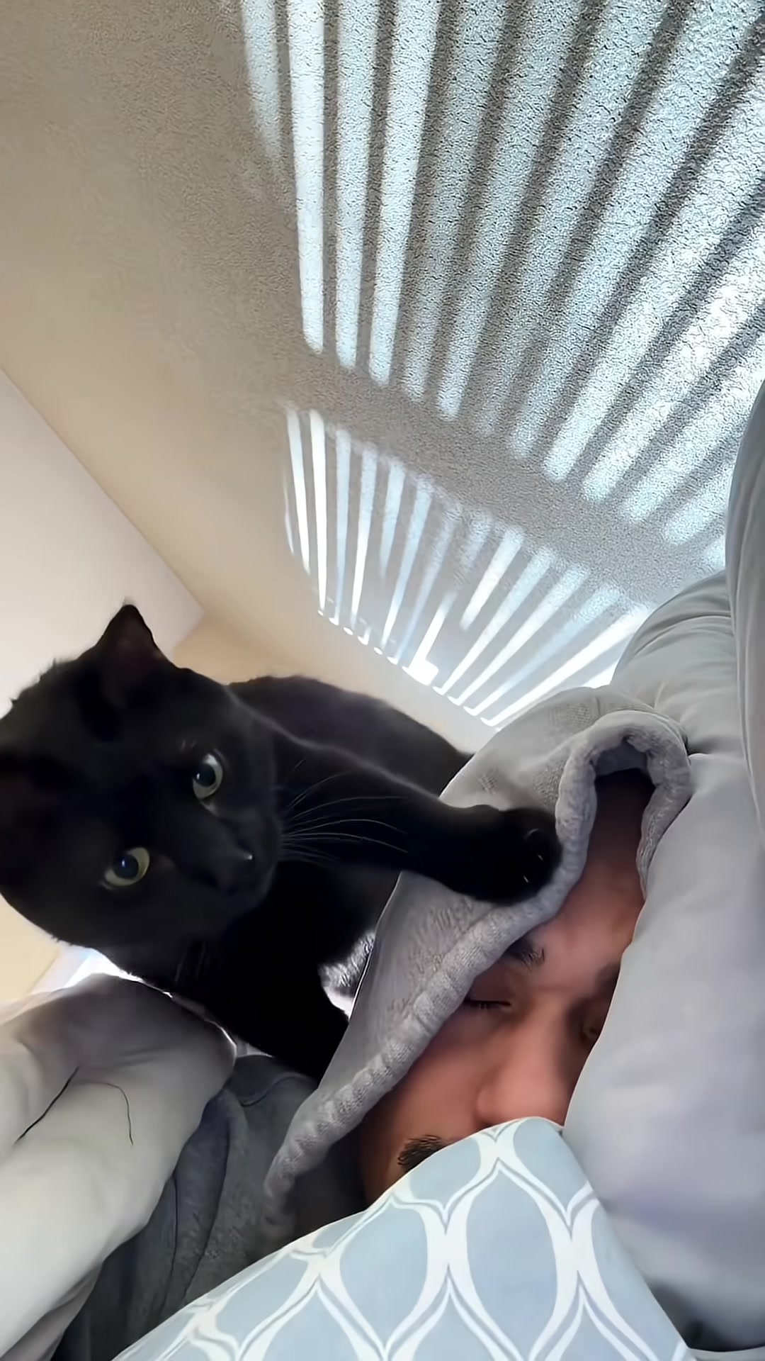 The black cat rests its head on its owner's face, showing deep affection.