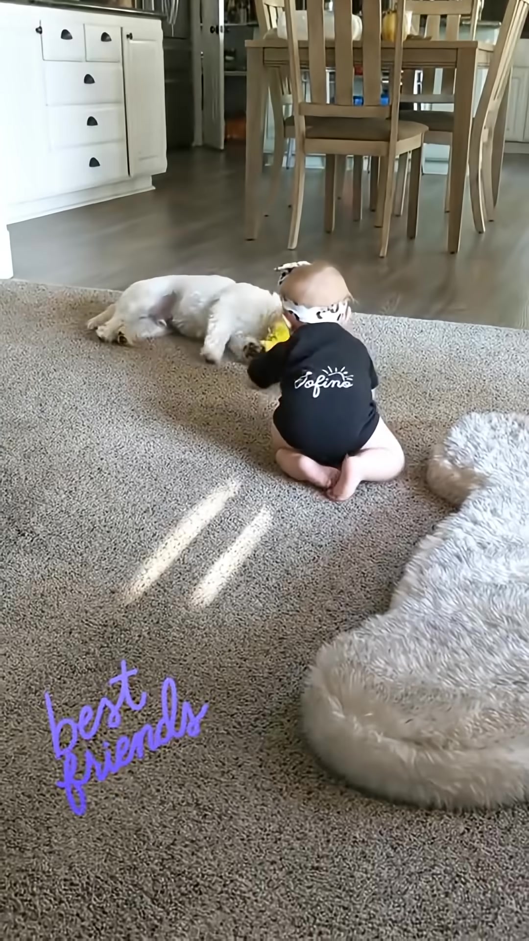 The puppy and a baby interact gently on the floor, forming a bond.