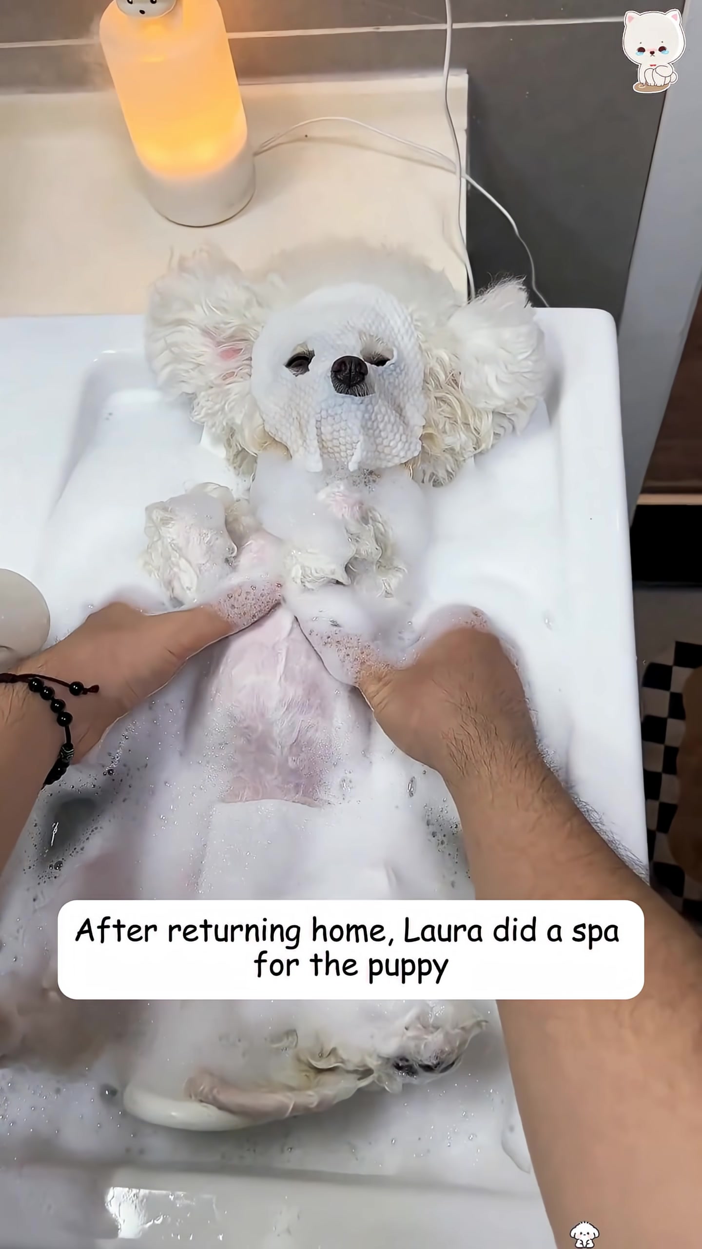 A white puppy is being bathed in a sink, covered in soap bubbles.