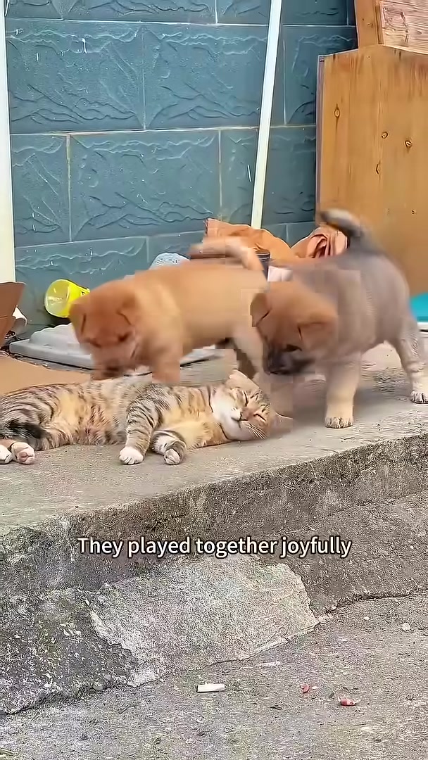 Puppies running and playing joyfully.