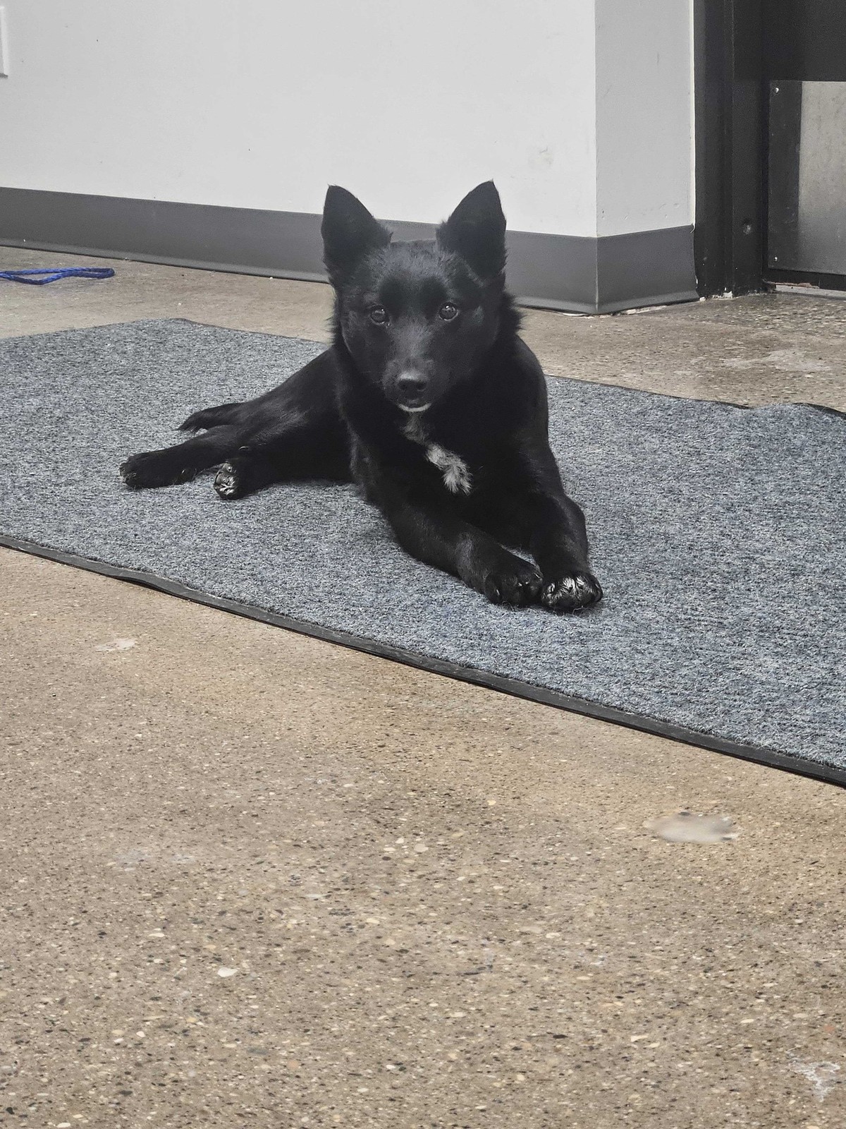 Rukey rescue photo