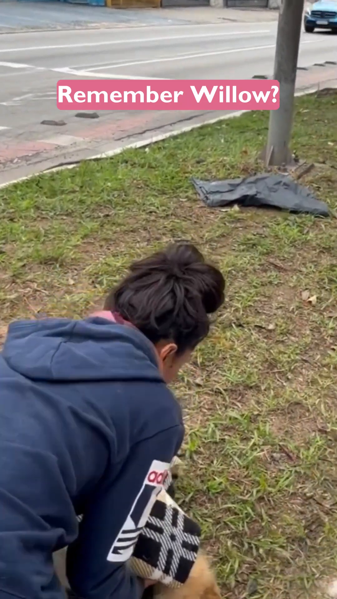 A woman gently holds a frail, dirty, and thin dog named Willow.