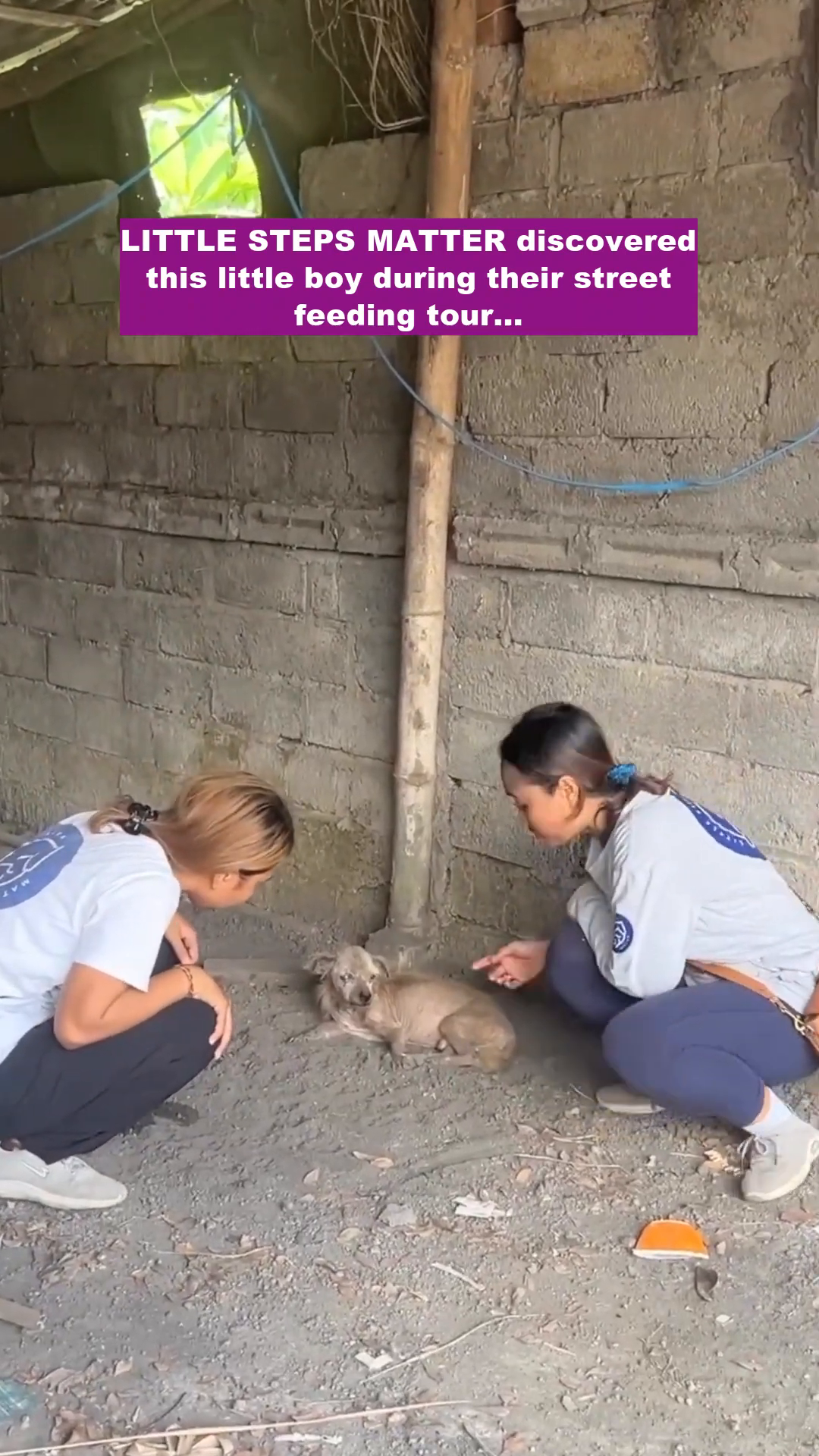 A small, dirty puppy lies on the ground, looking weak and frail, as two women approach him.