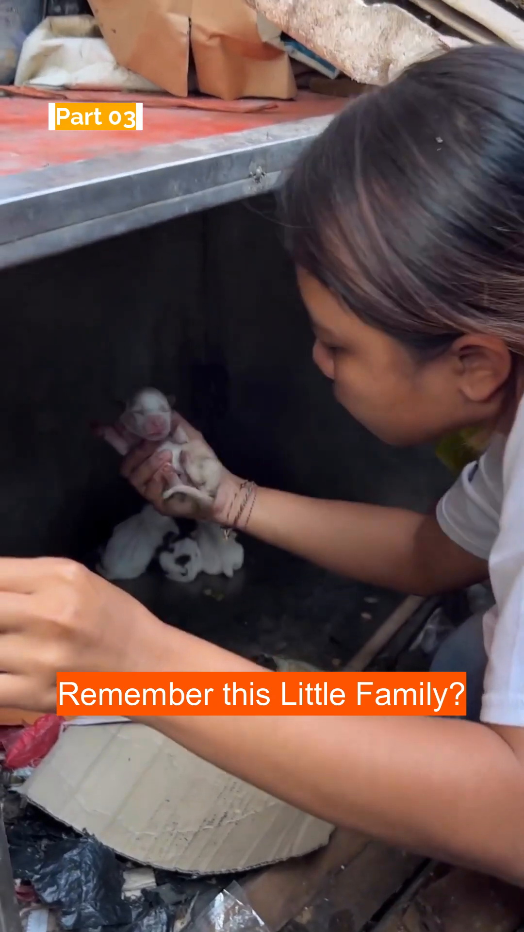 A woman gently holds a tiny, newborn puppy in her hands.