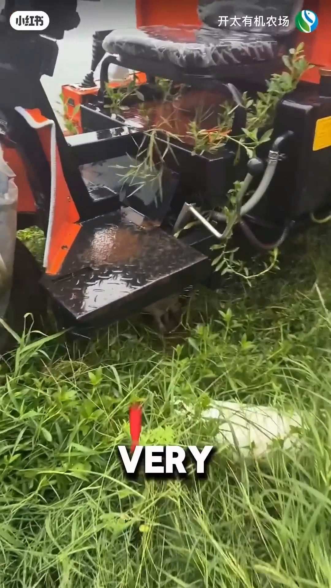 A small, wet puppy is huddled beneath some farm equipment, looking distressed.