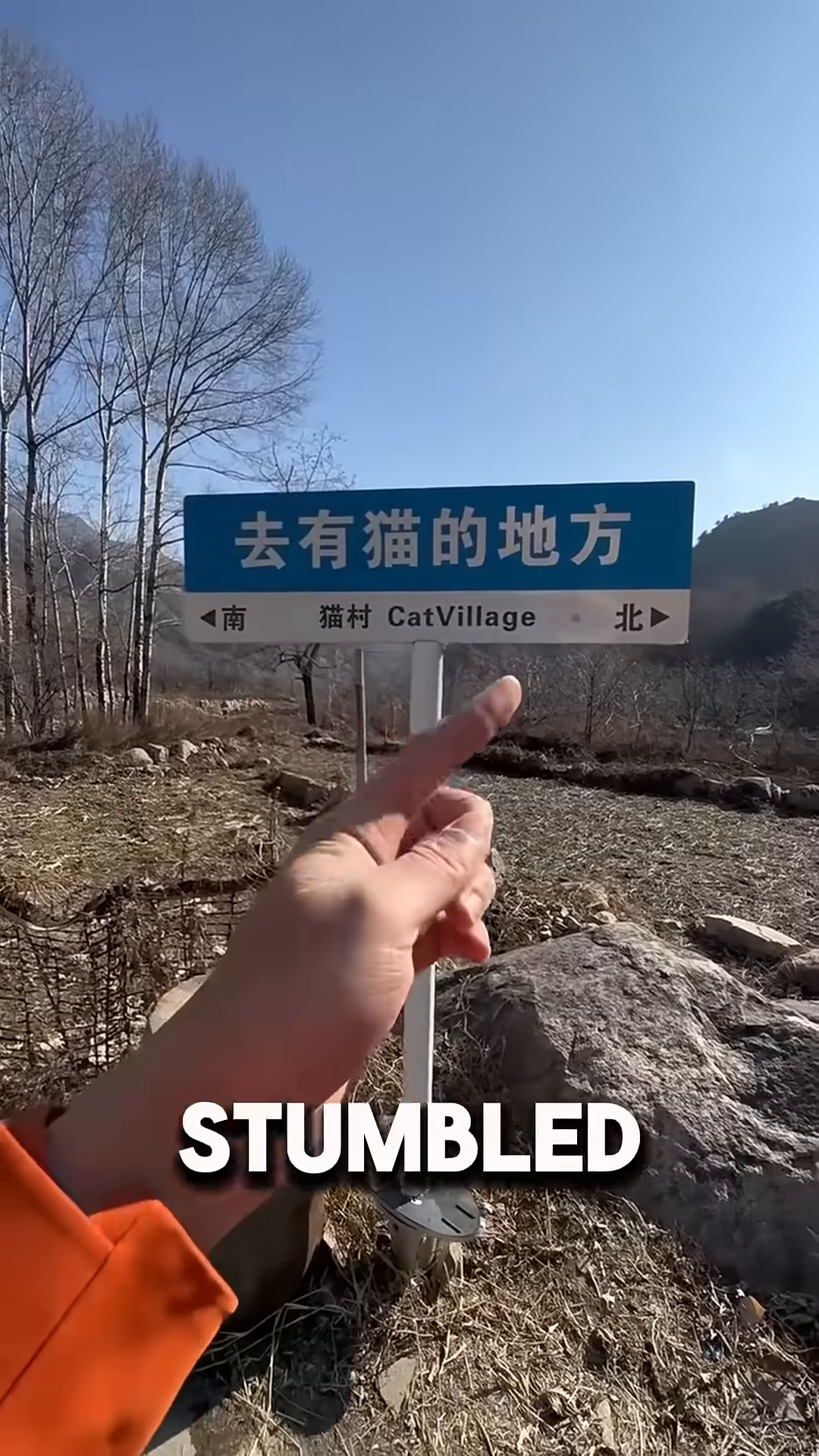 A blue signpost with Chinese characters and 'CatVillage' pointing in two directions.