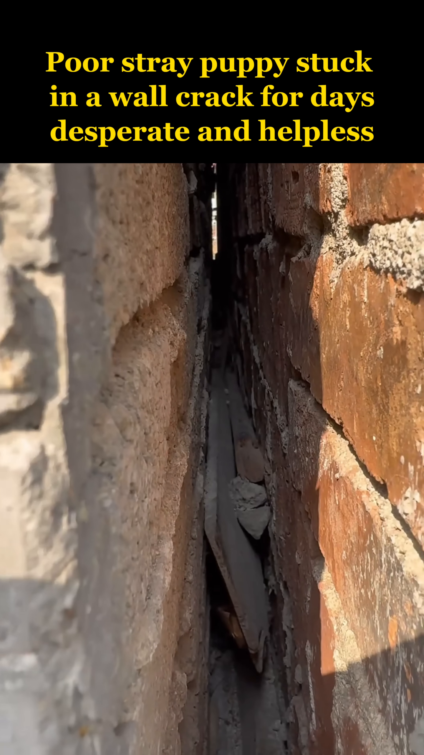 A close-up view of a very narrow crack in a brick wall, with darkness visible inside.