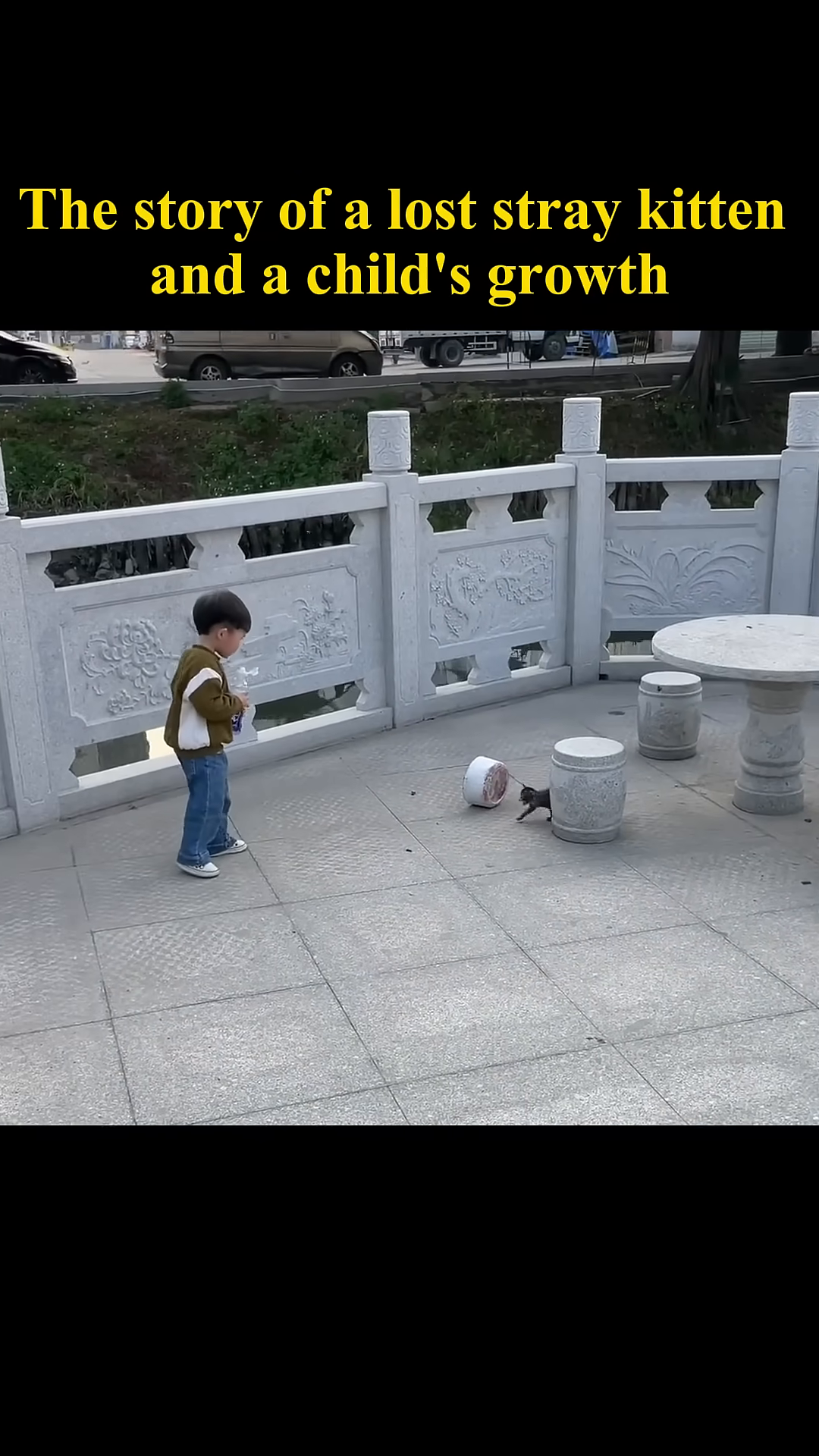 A young boy cautiously approaches a small, wet kitten on the ground.