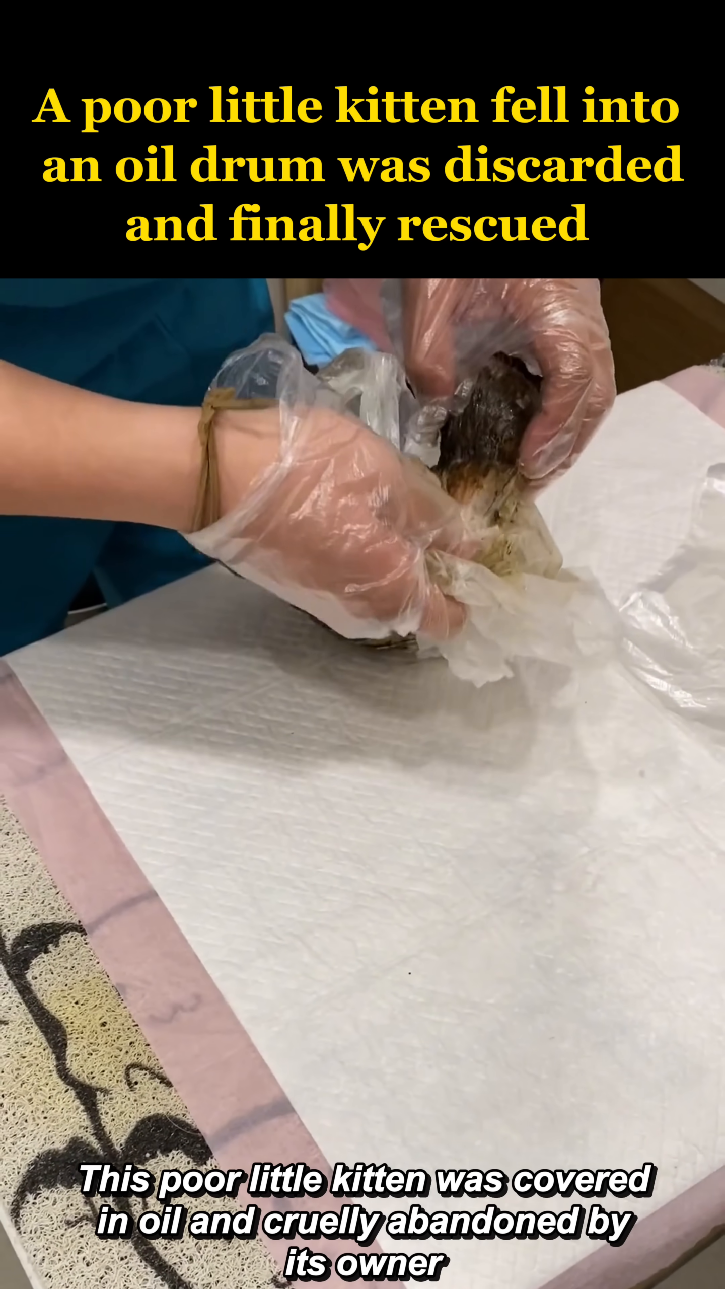 A tiny kitten, covered in dark oil, is held by gloved hands.