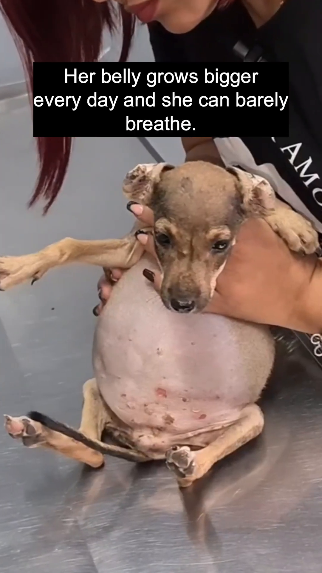 Close-up of Lolita's face, showing her sad eyes and thin body.