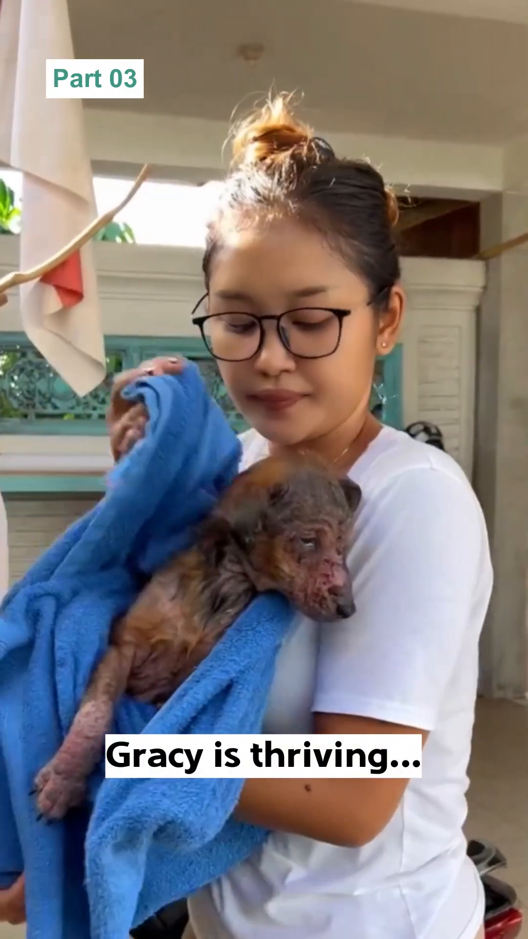 A woman gently dries a small, scruffy dog with a blue towel.