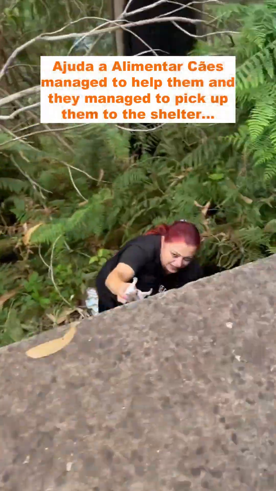 A rescuer carefully lifts a tiny puppy from the bushes, while Mama Rita watches.