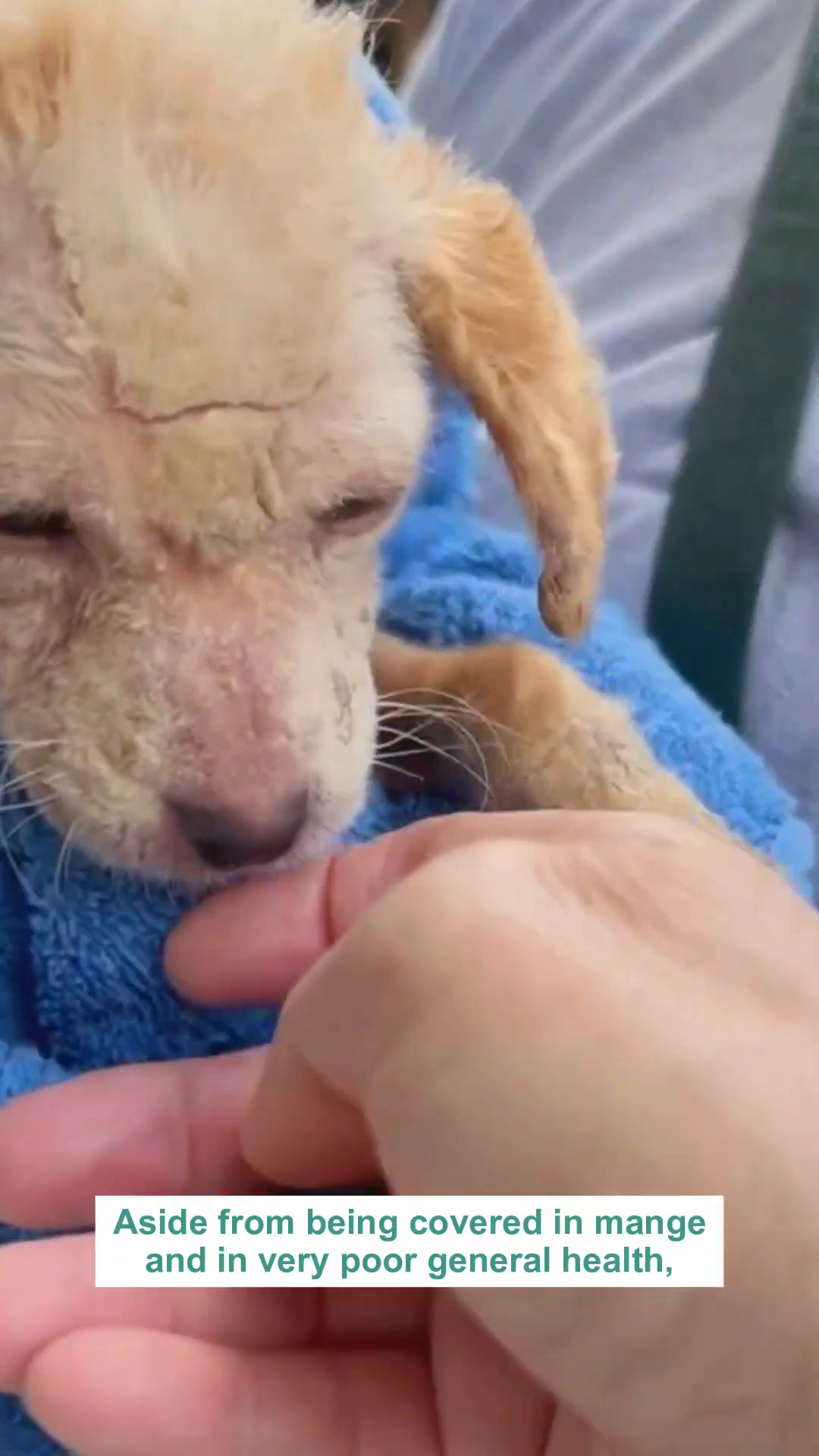 Close-up of Ayla's face, showing her sad eyes and the rough, inflamed skin.